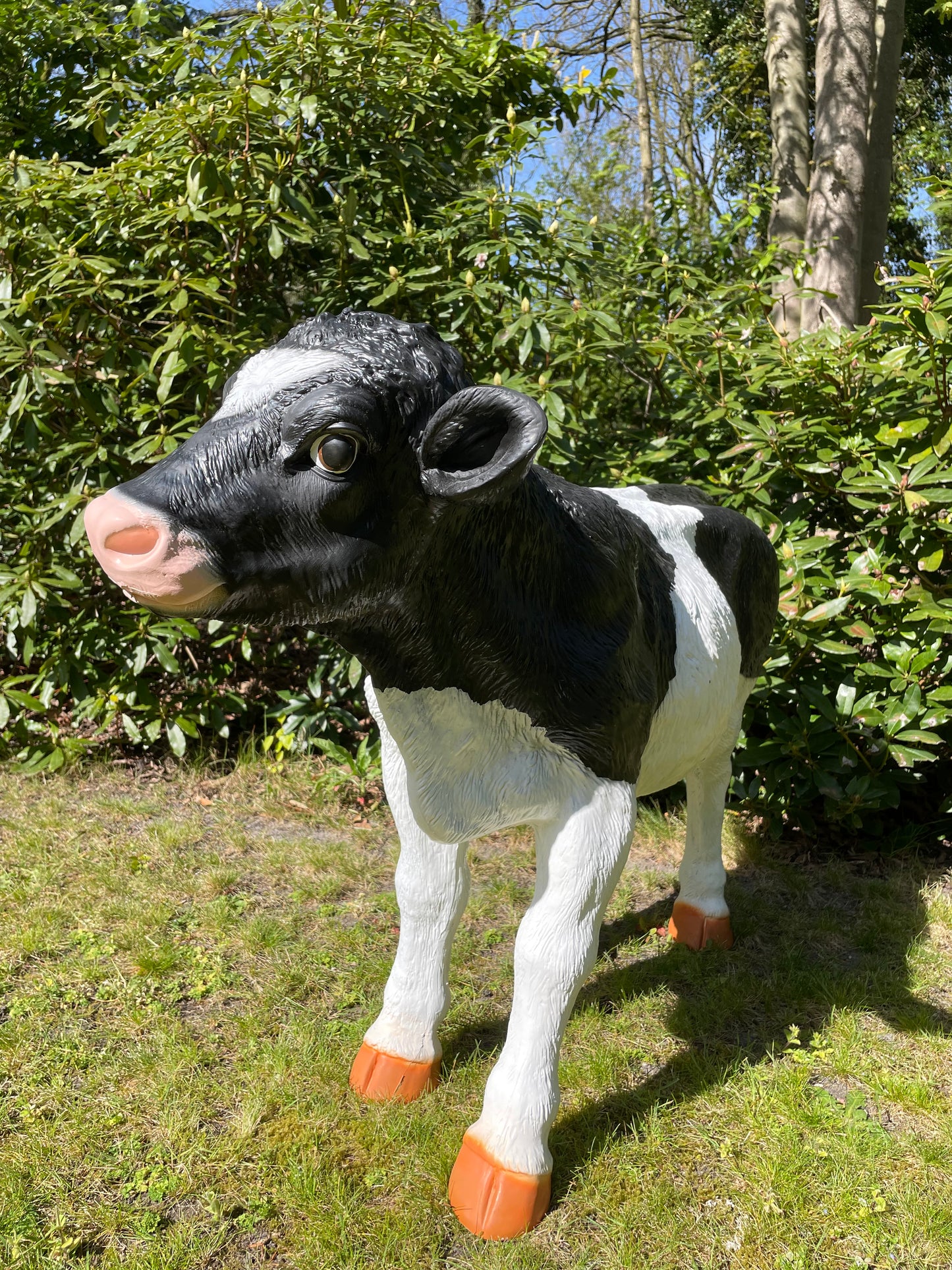 Beeld set kalf, Koe tuin, vijver, boerderij, dierentuin 75-105cm
