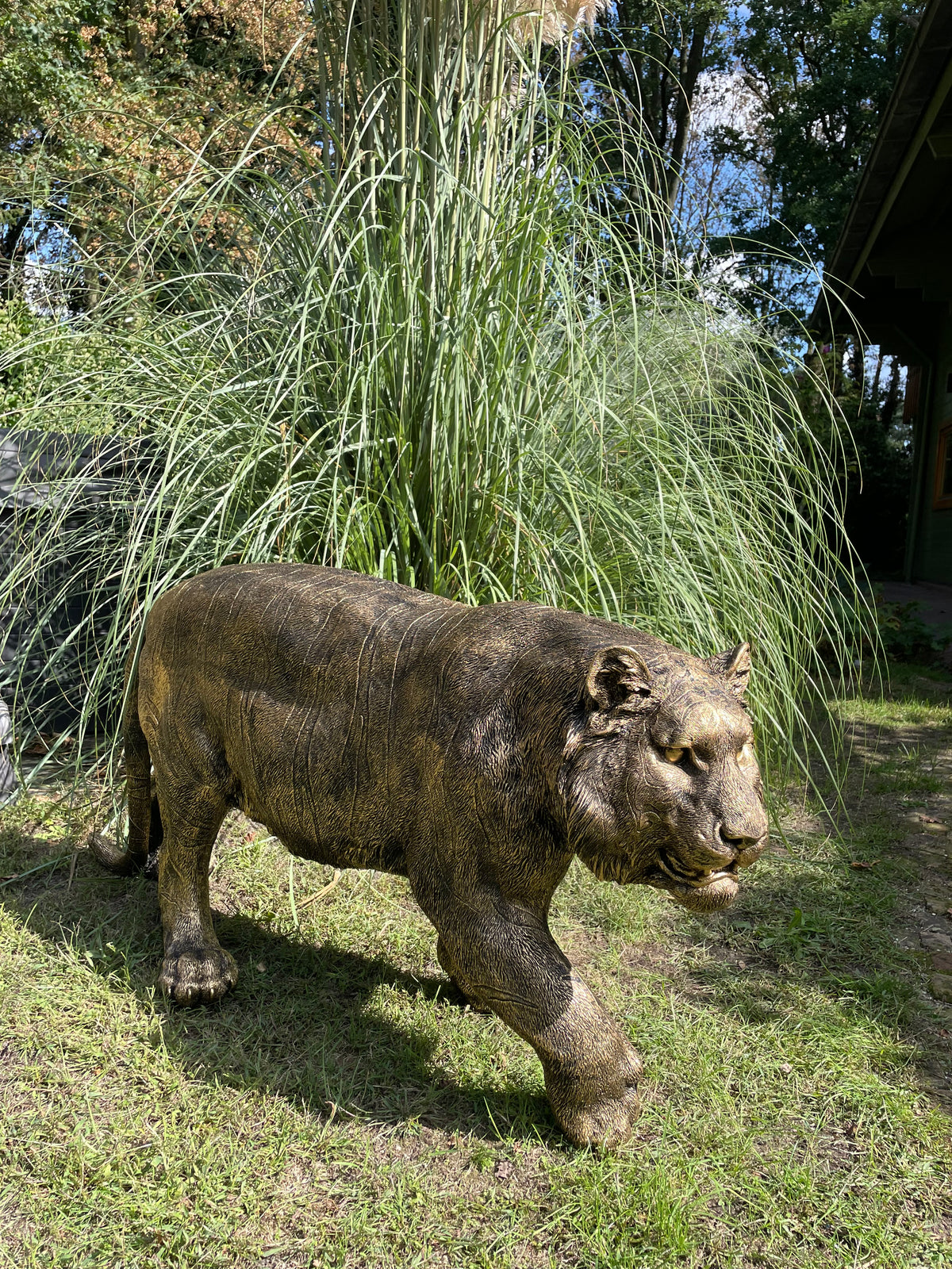 Tijger antiek goud gazon, tuin, dierentuin, 140cm