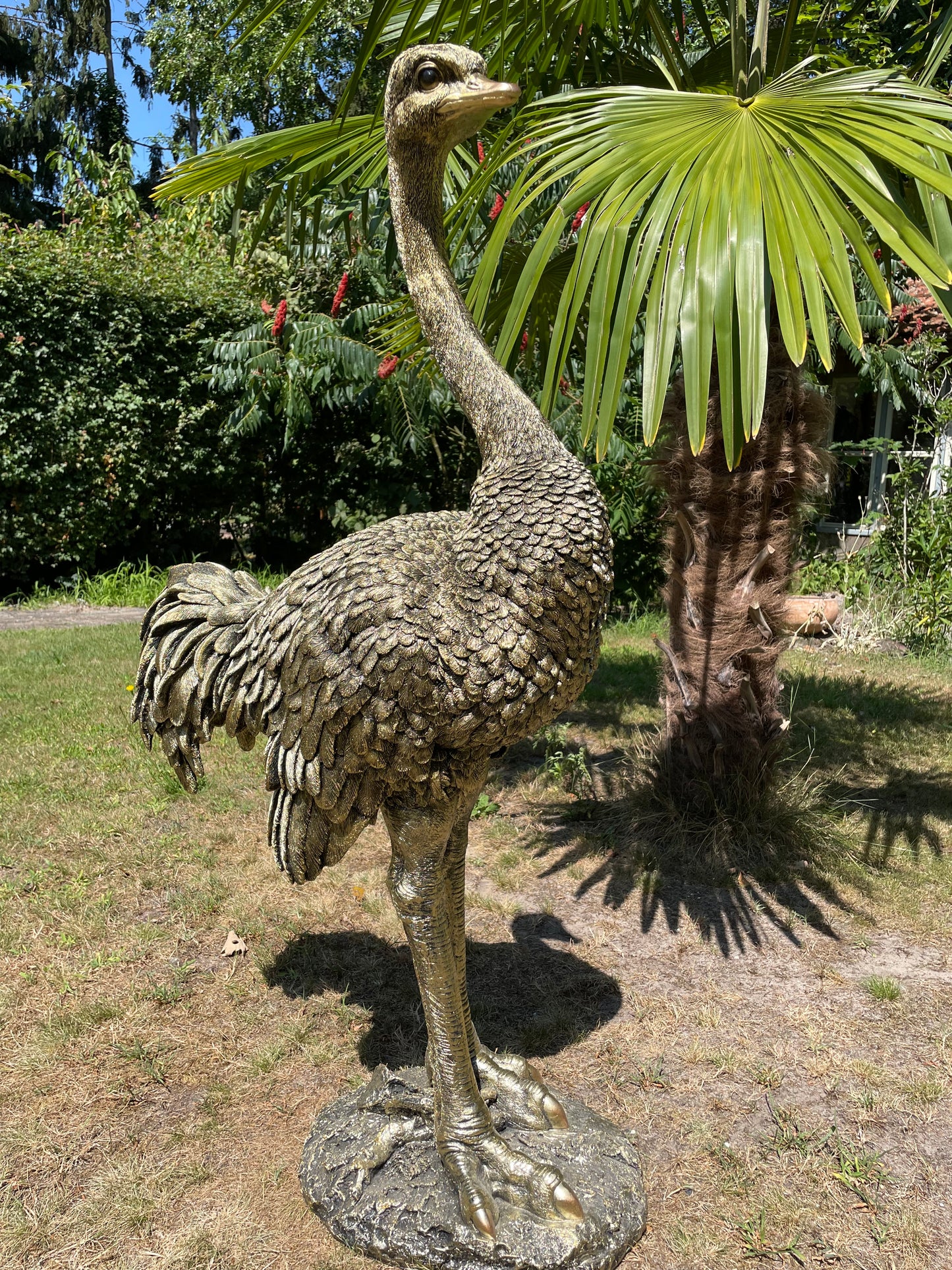 Beeld Struisvogel groot, gazon, tuin, dierentuin 110cm