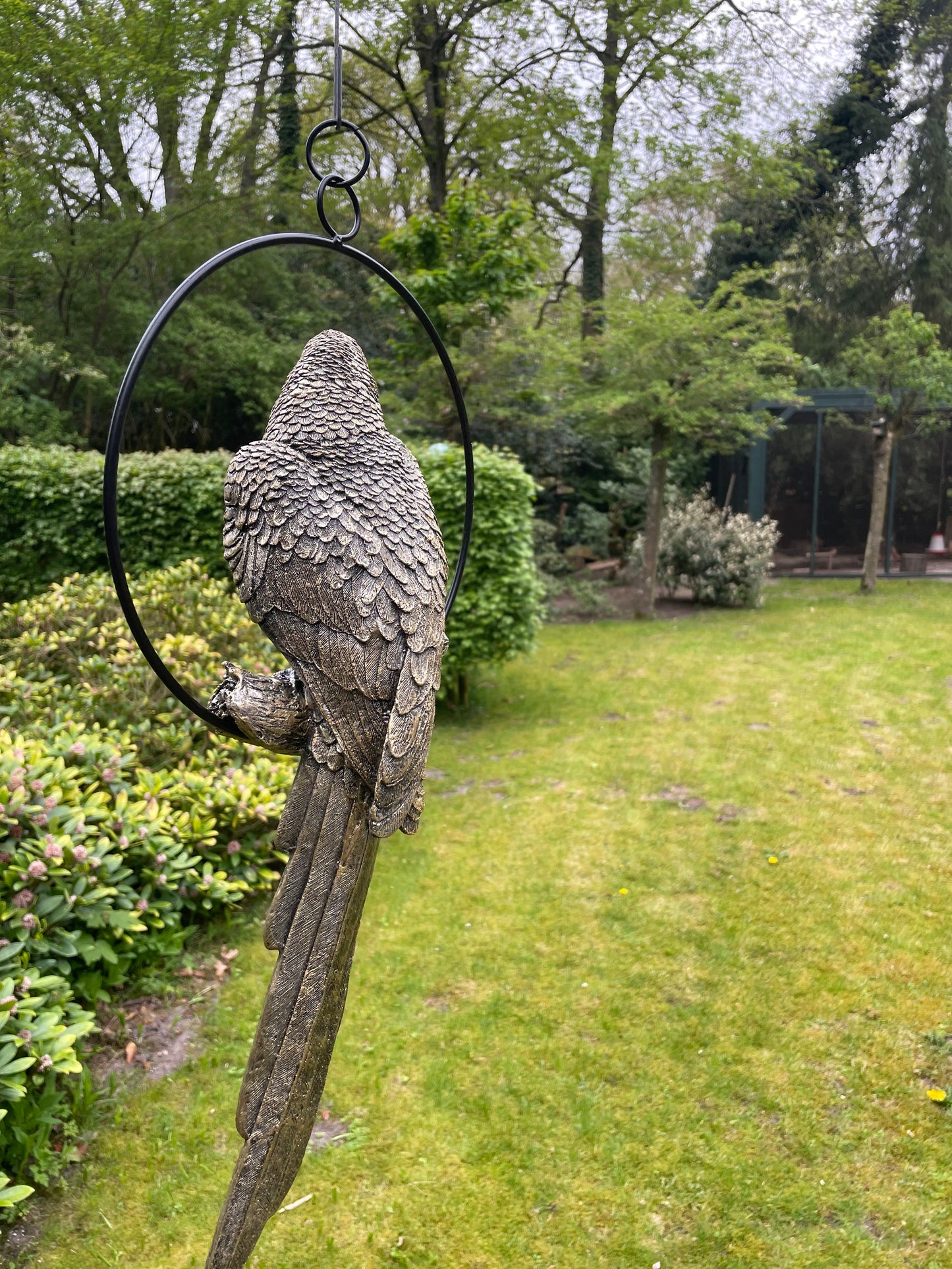 Beeld papegaai Antiek Goud, zwembad, vijver, tuin, balkon 50cm