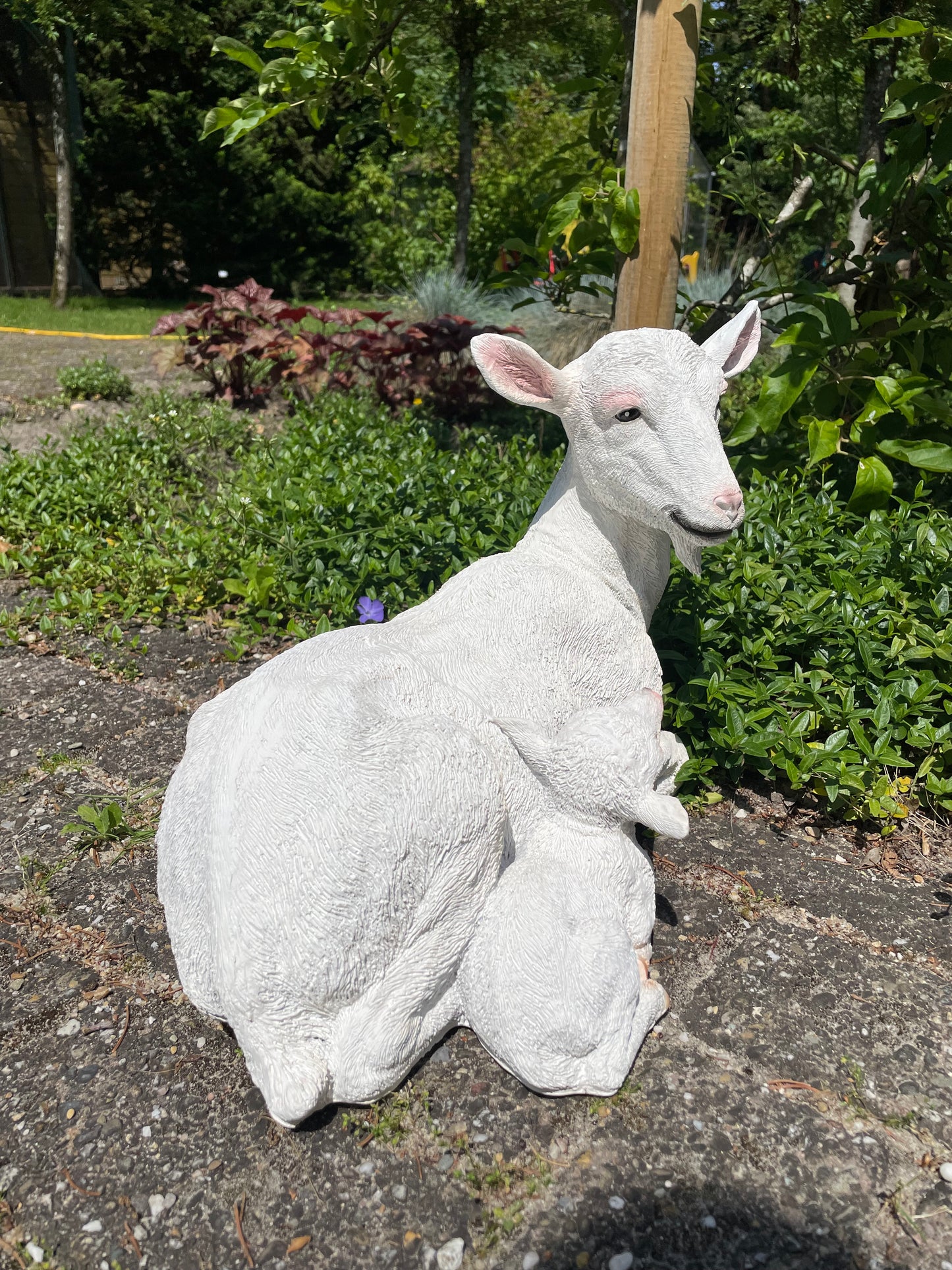 Geit wit liggend lammetje tuin, gazon, boerderij 40cm