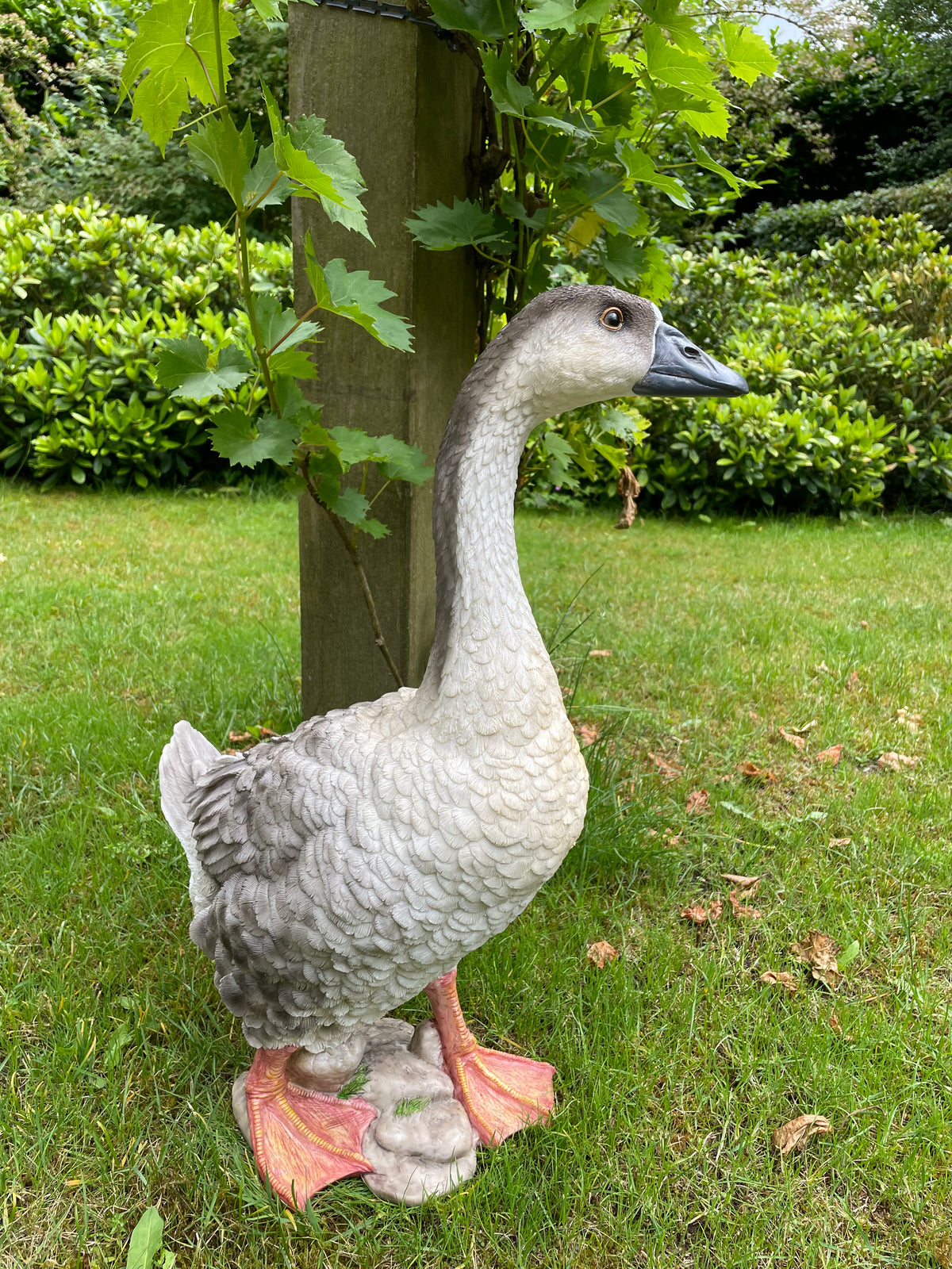 Beeld Gans bruin-grijs-wit, tuin, zwembad, vijver, boerderij 60cm