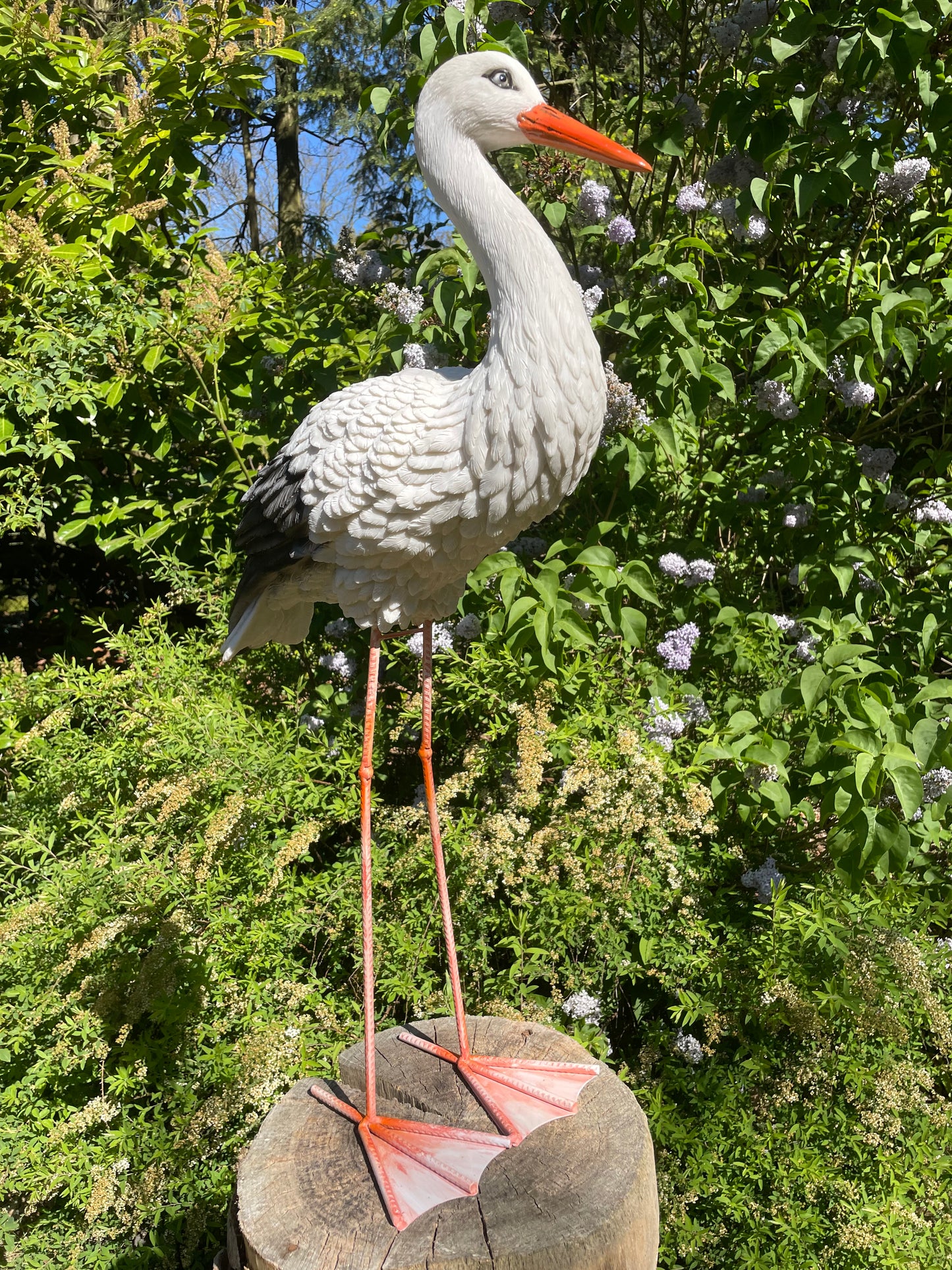 Ooievaar, tuin, boerderij, vijver, dierentuin 80cm