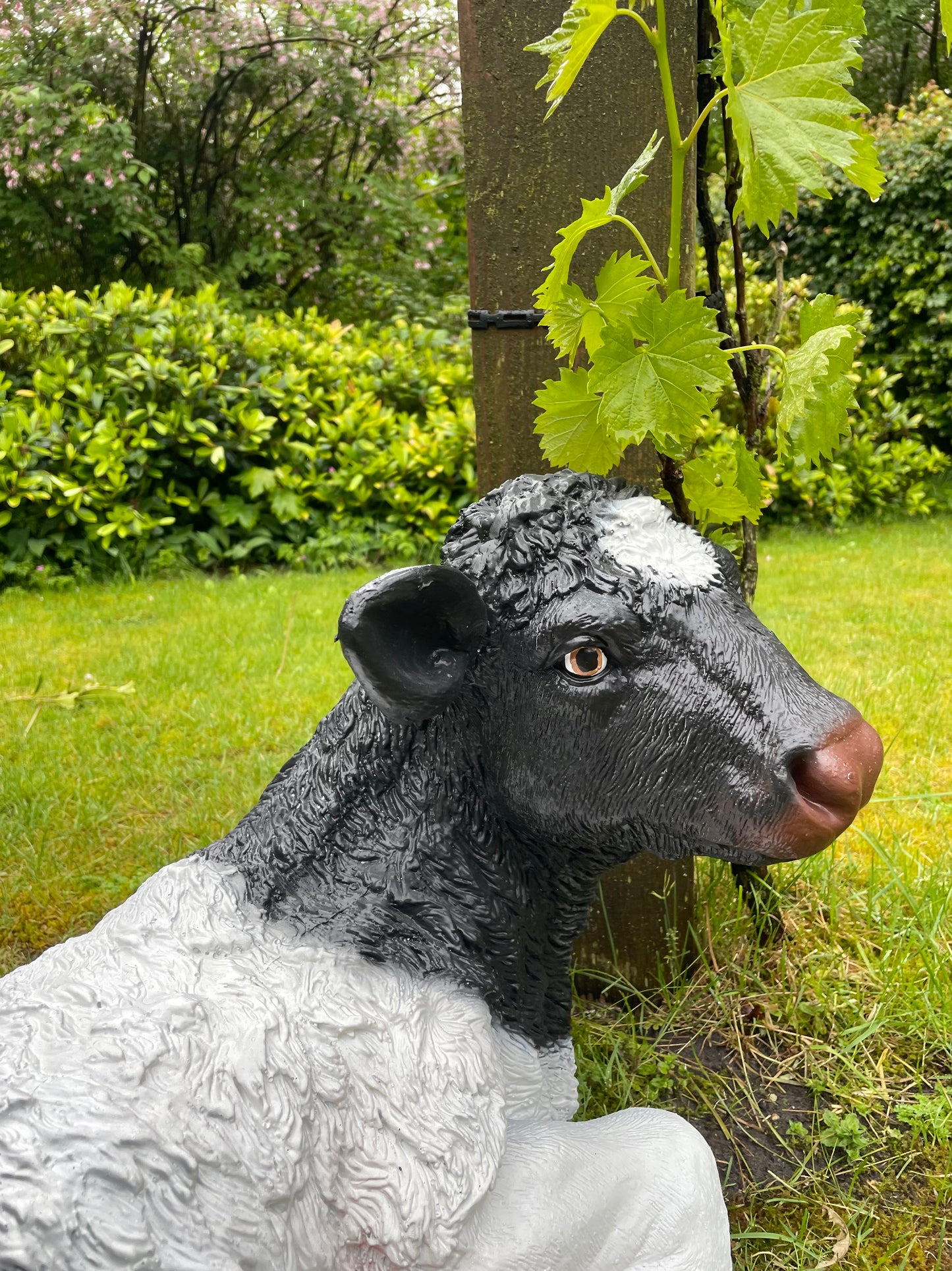 Koe kalf tuin, vijver, boerderij, dierentuin 75cm