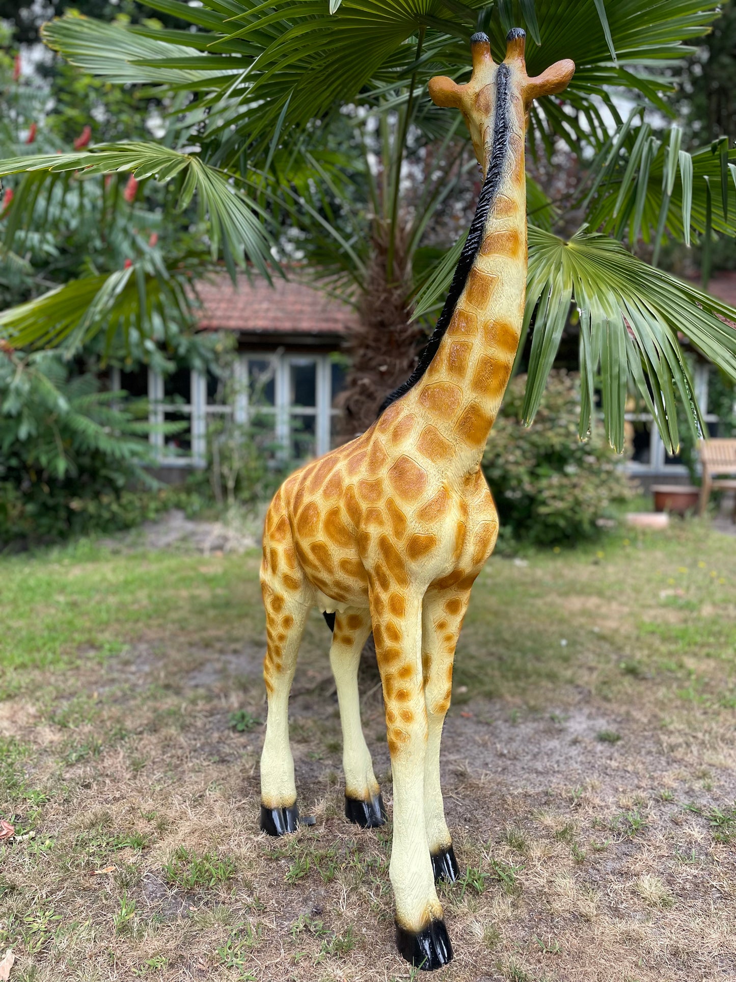 Grote Giraffe Tuinbeeld – Realistisch Dierenbeeld voor Babykamer of Buiten 150cm