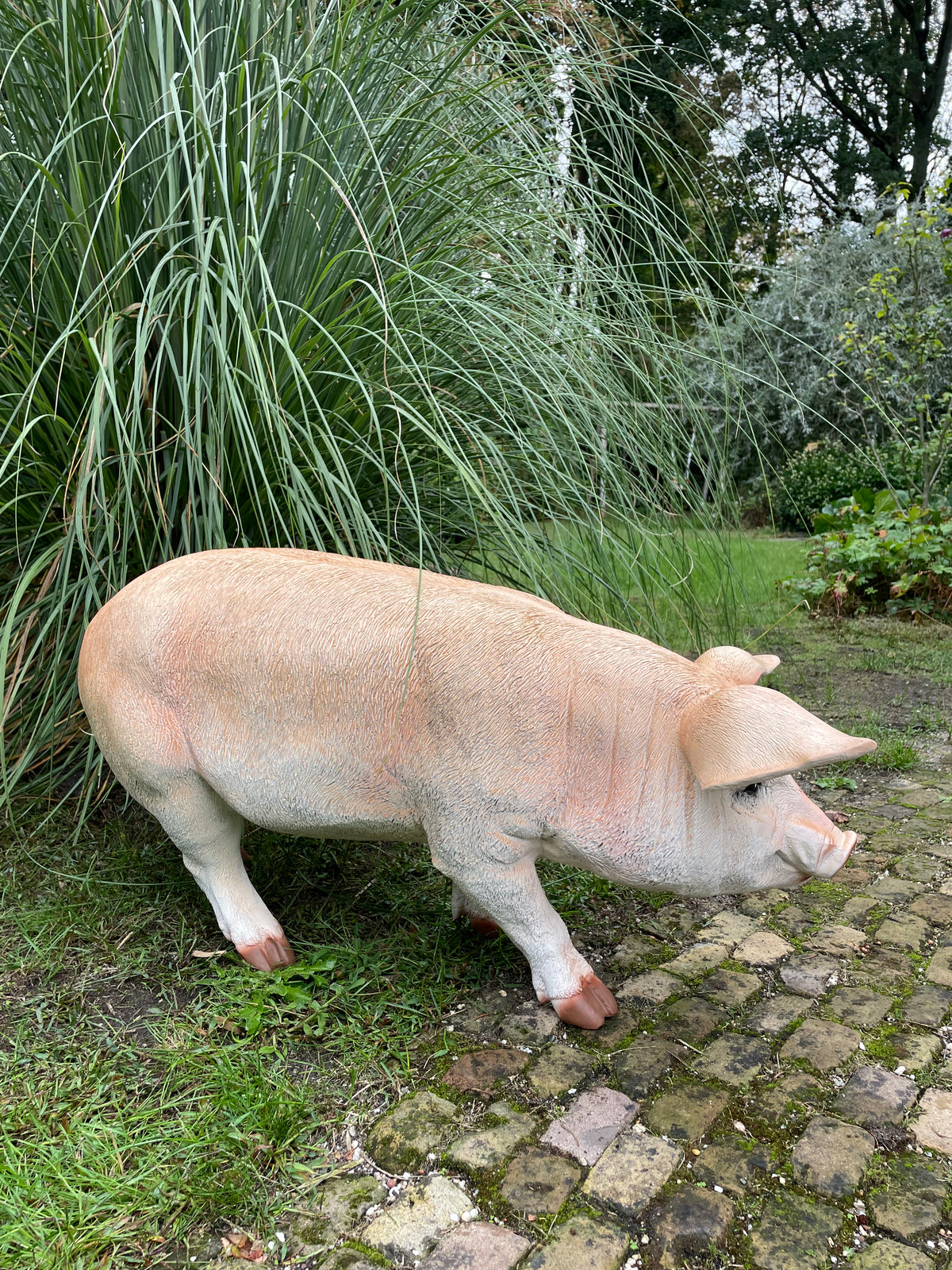 (Tuin)Beeld varken, tuin, gazon, manege, boerderij 85cm