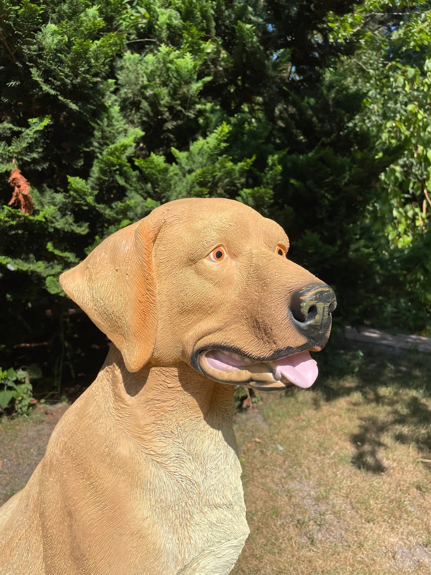 Beeld hond labrador,  Golden Retriever licht goud 80cm