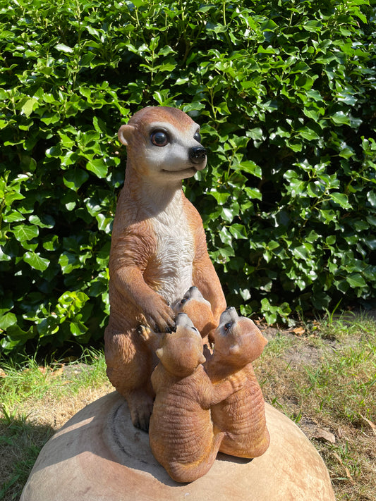 Beeld Stokstaart aap Drieling, tuin, vijver, dierentuin 40cm