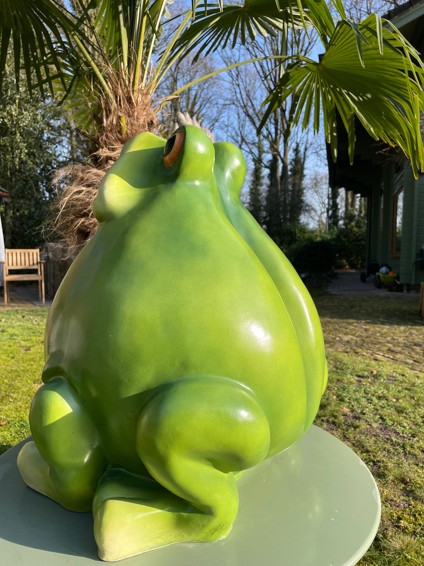 Beeld kikker, tuin, vijver, gazon, boerderij 55cm