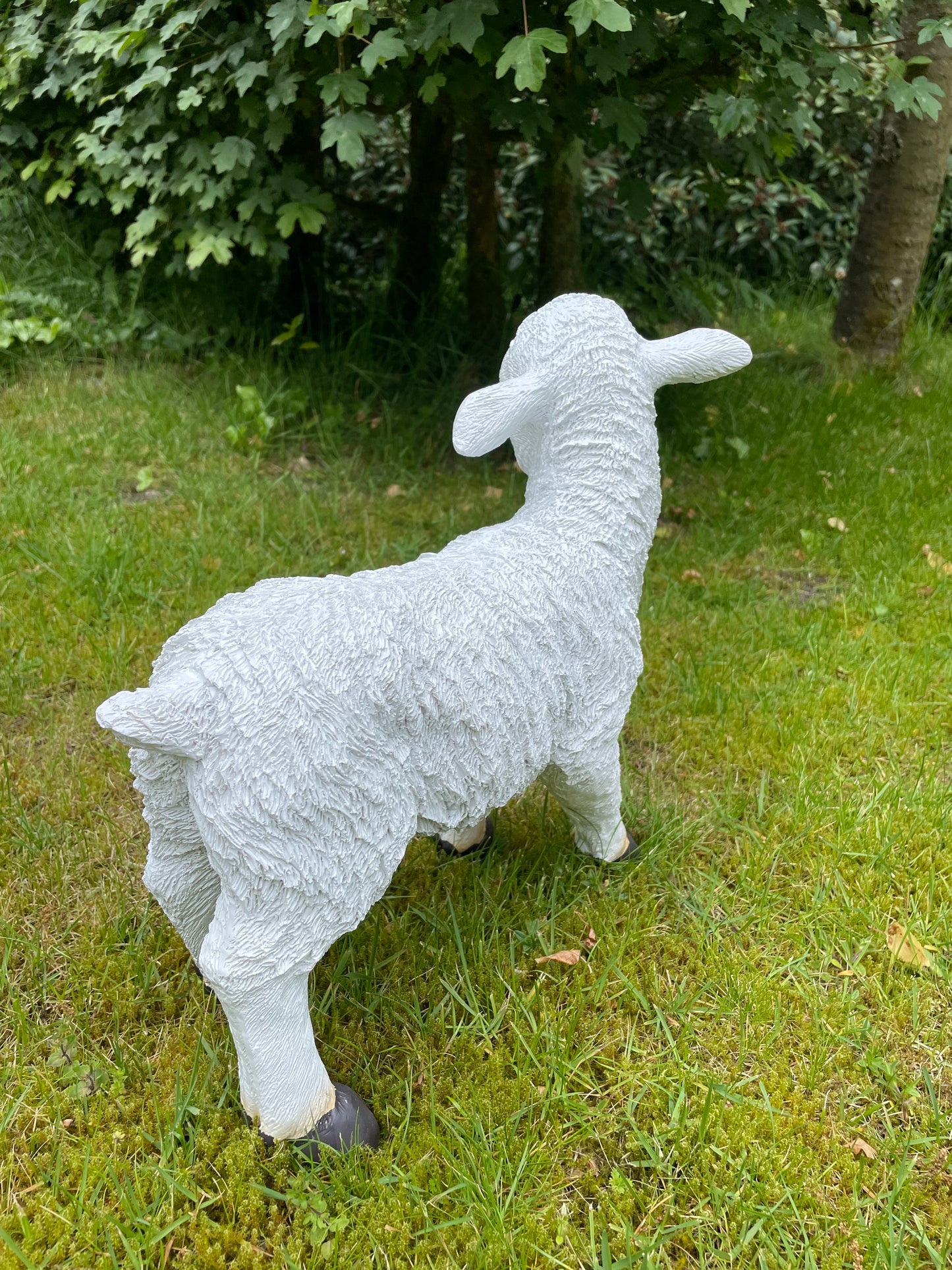 Beeld lammetje wit, tuin, gazon, boerderij  35cm
