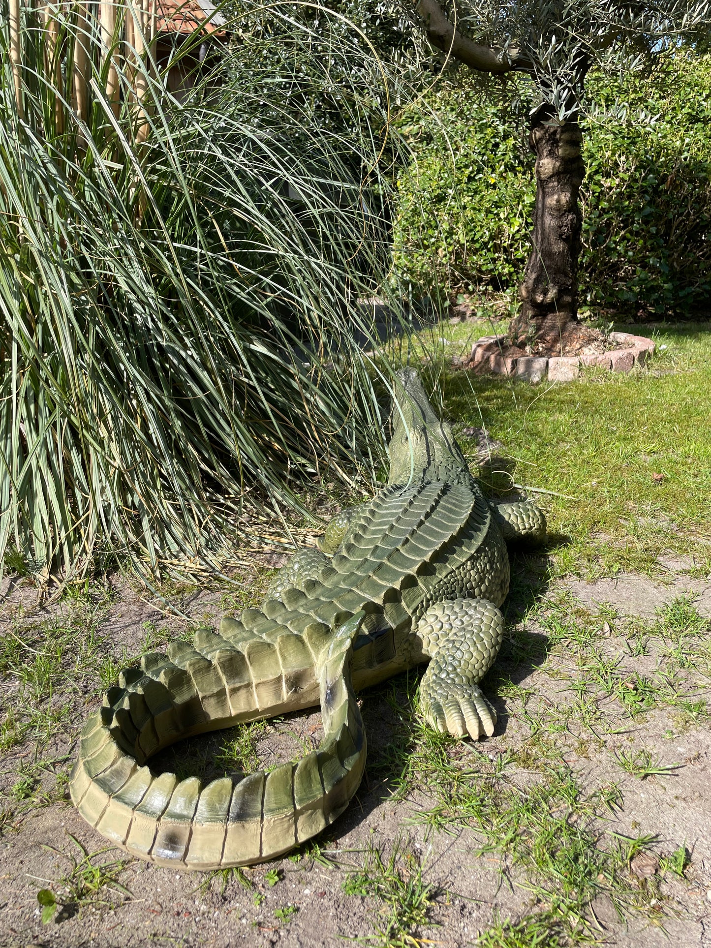 Beeld krokodil, Groen, zwembad, vijver, boerderij 100cm