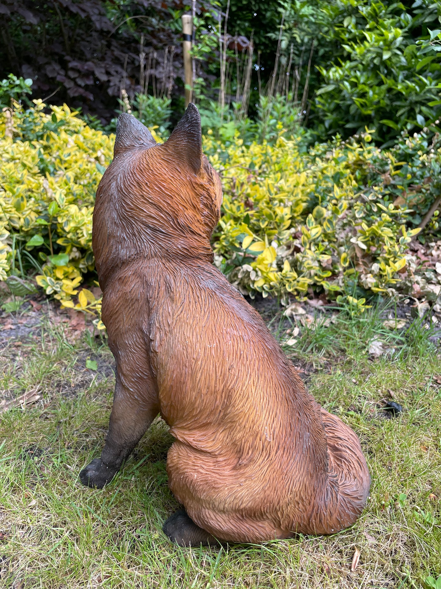 Tuinbeeld vos zittend gazon, tuin, dierentuin, 35 cm
