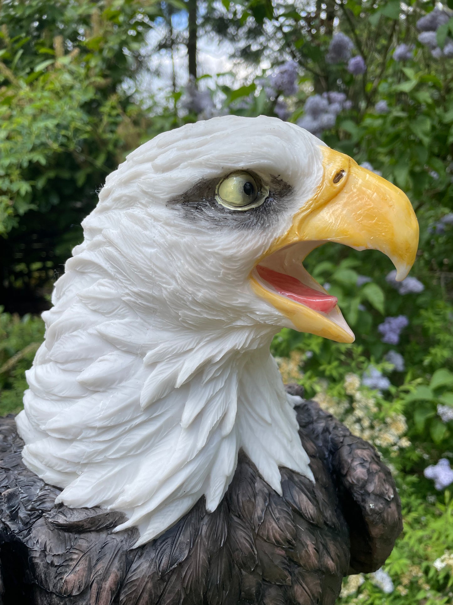 Beeld Arend groot, gazon, tuin, vijver, dierentuin 55cm