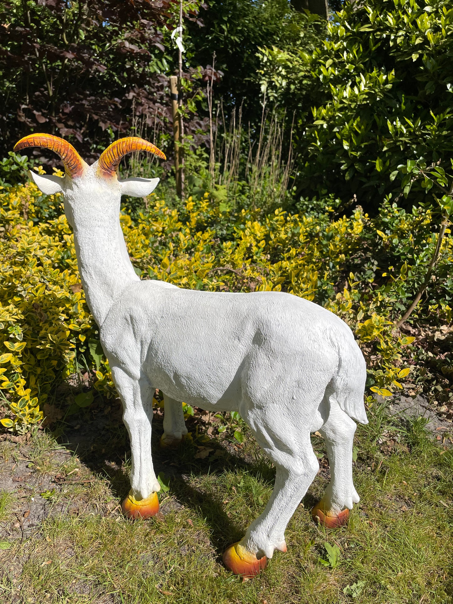 Beeld bok, Geit gele hoorns tuin, gazon, boerderij 65cm