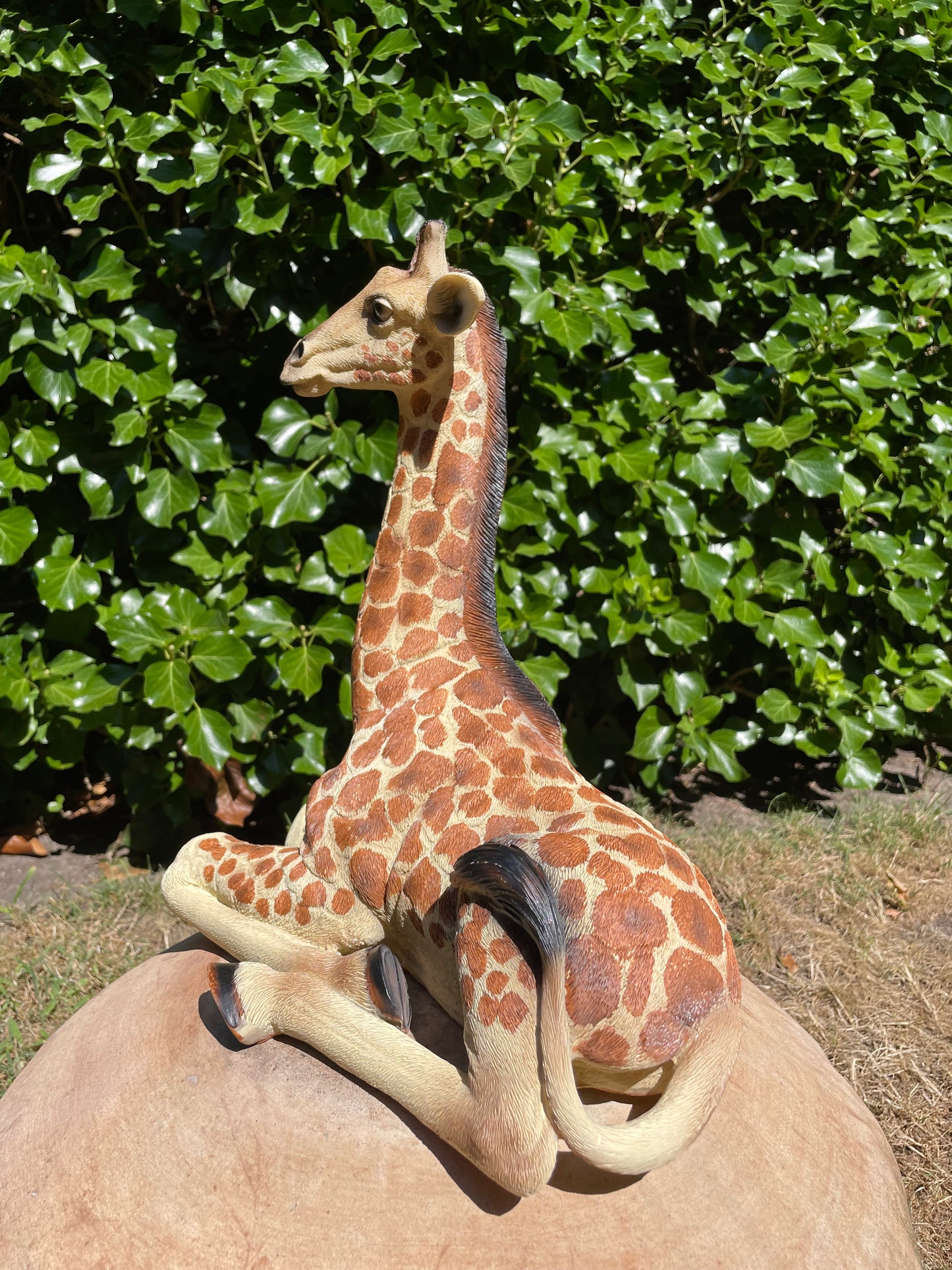 Giraf, liggend, tuin, woonkamer, dierentuin 32cm