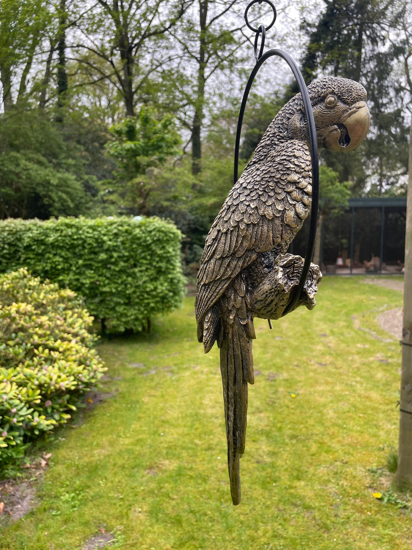 Beeld papegaai Antiek Goud, zwembad, vijver, tuin, balkon 50cm