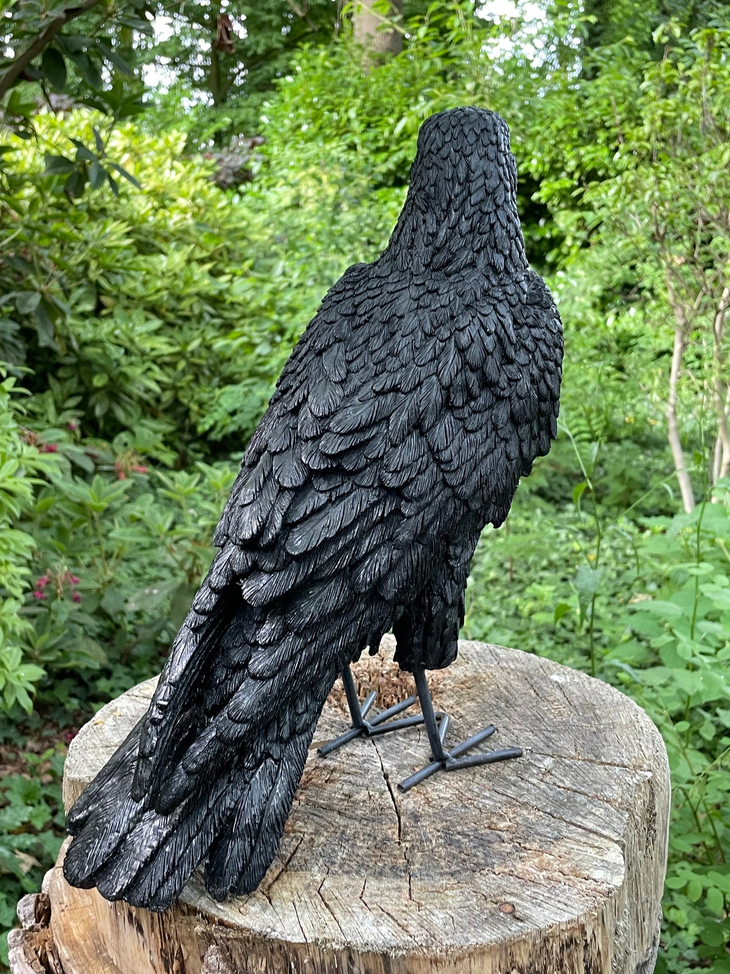 Kraai, Raaf, gazon, tuin, boerderij 35cm