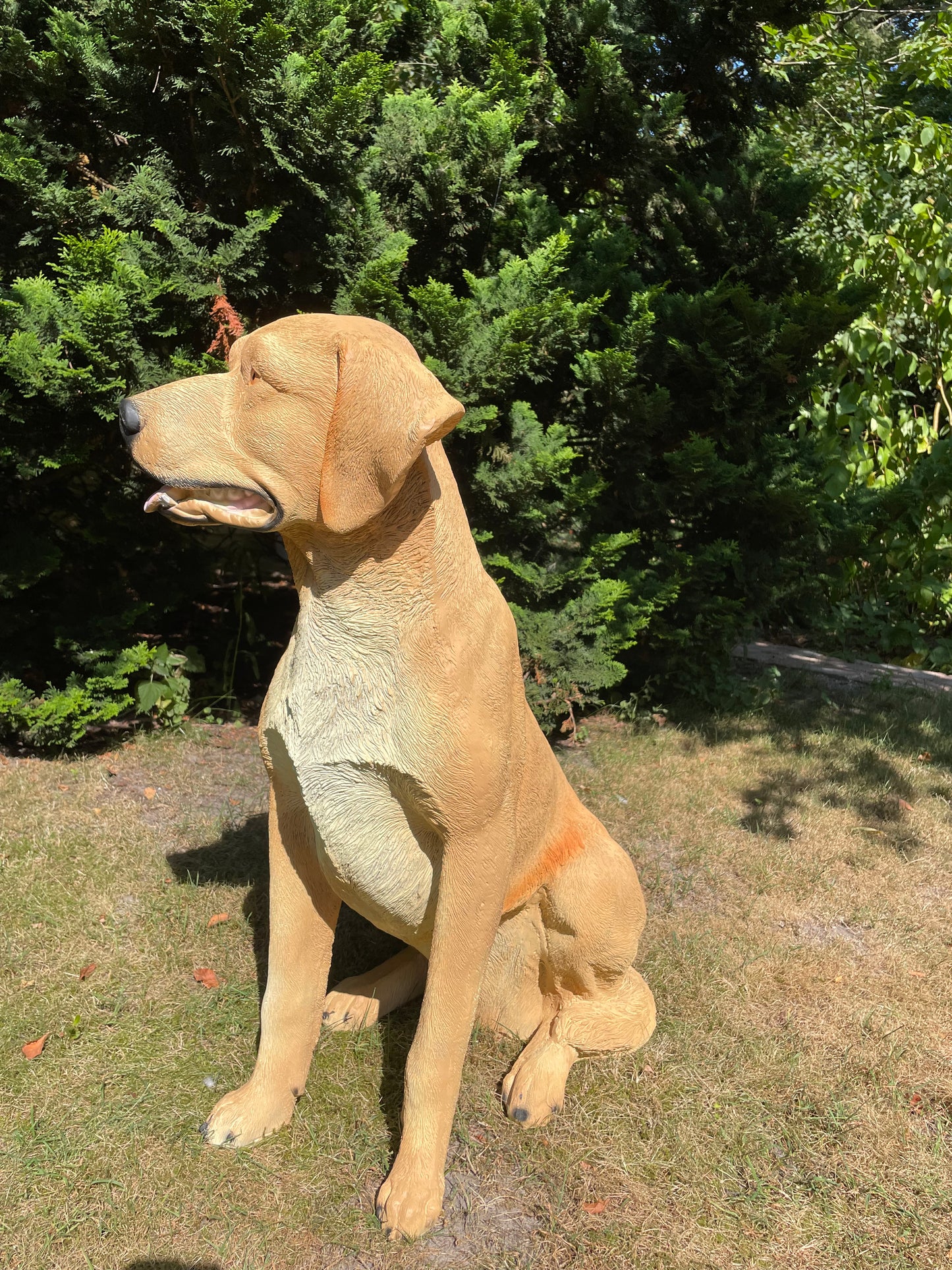 Beeld hond labrador,  Golden Retriever licht goud 80cm