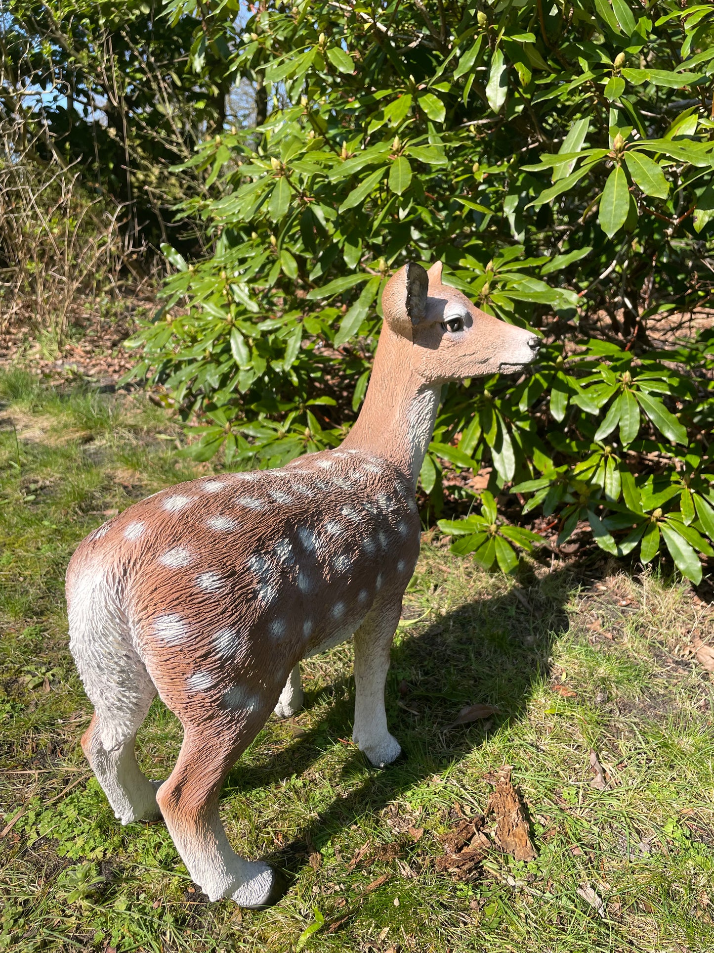 Beeld Hert, tuin, bos, gazon, boerderij 50cm