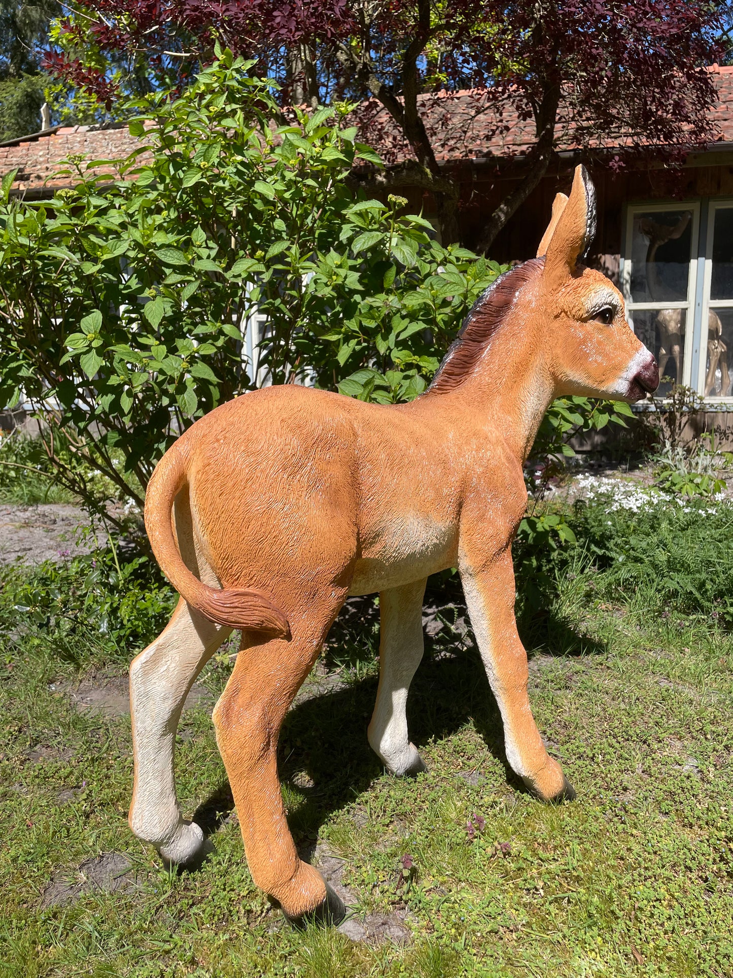 Ezel bruin, tuin, boerderij, vijver, dierentuin 100cm