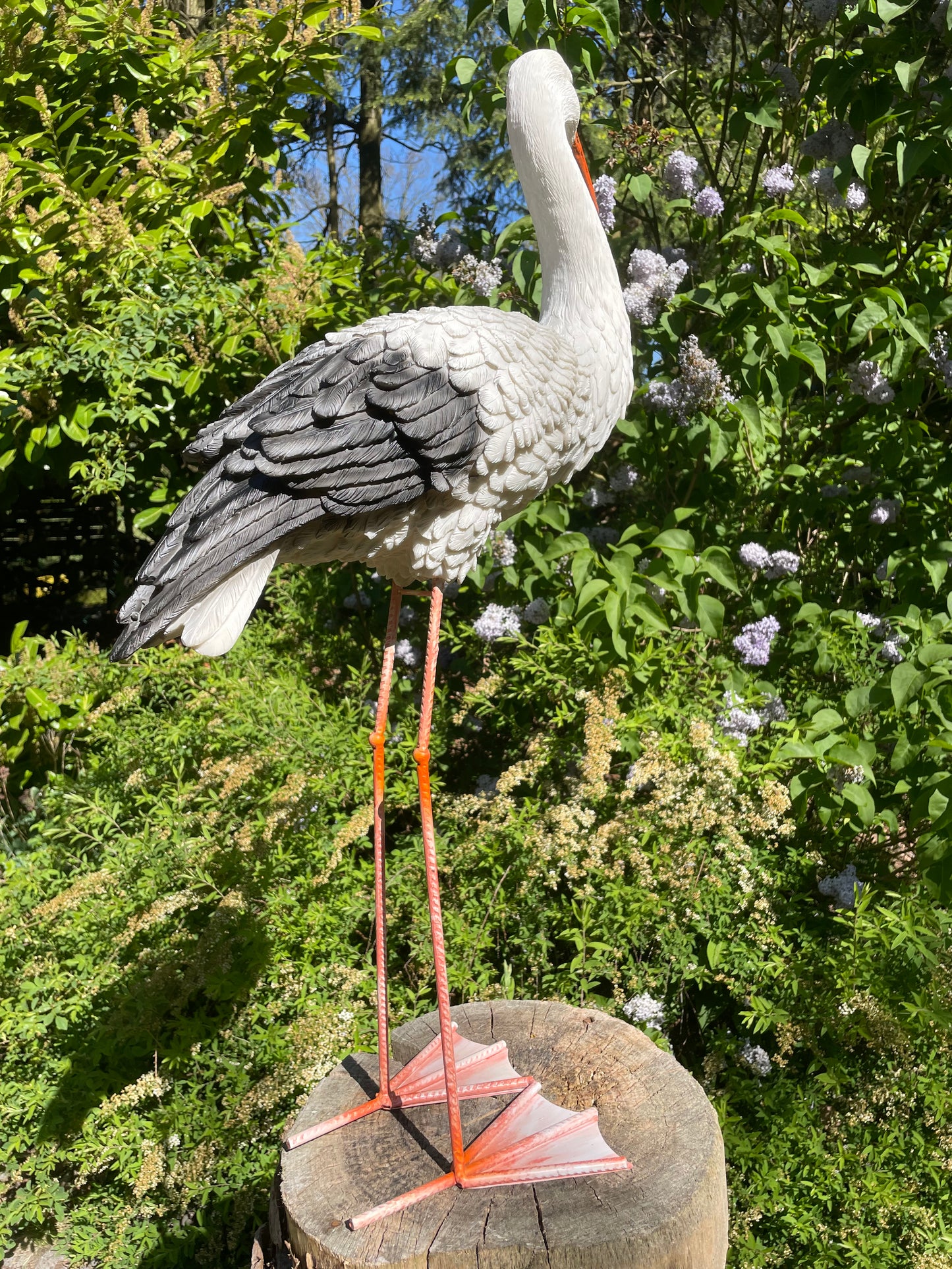 Ooievaar, tuin, boerderij, vijver, dierentuin 80cm