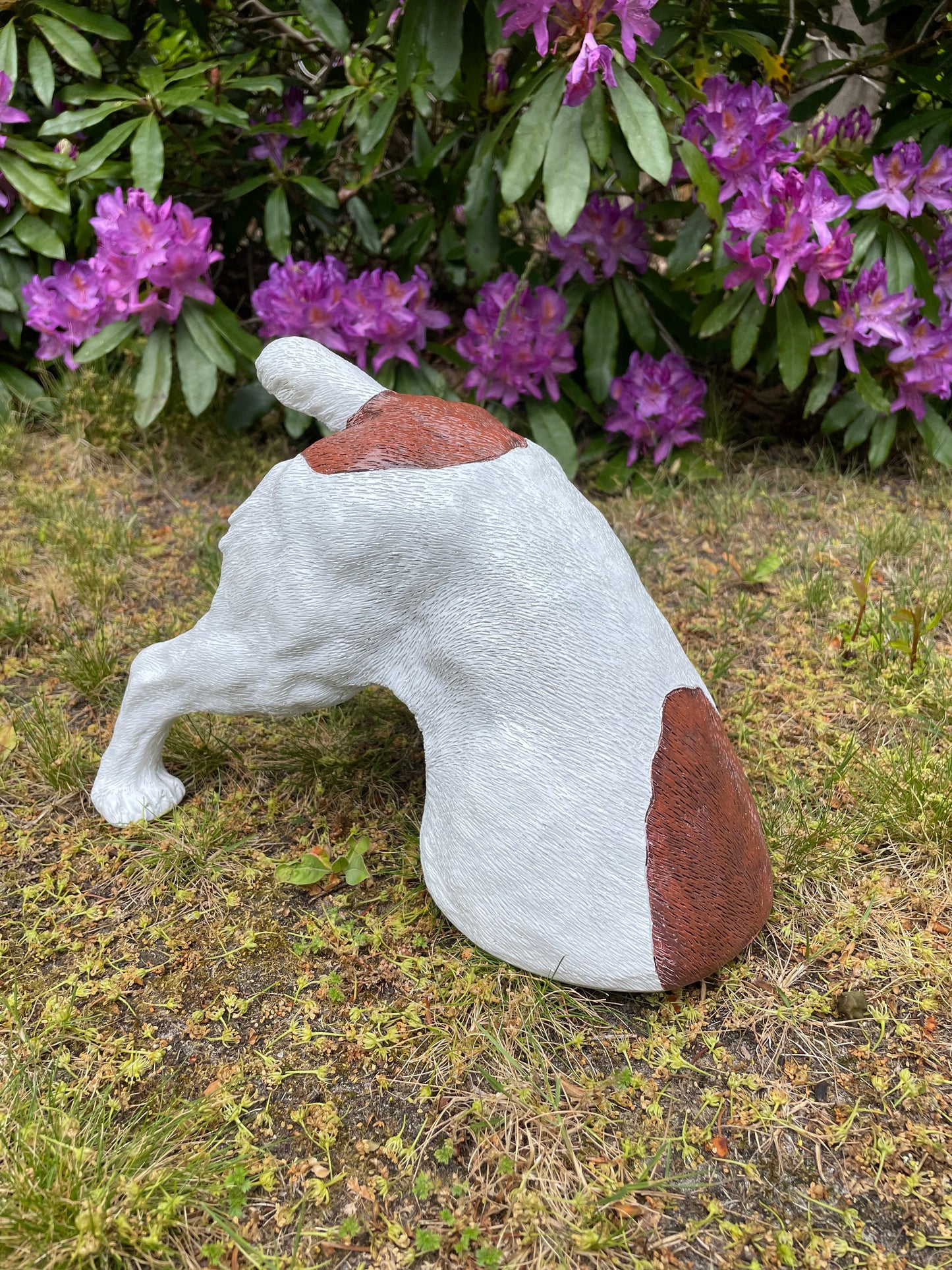 Beeld Jack Russel hond wit/bruin tuin, gazon, boerderij 30cm