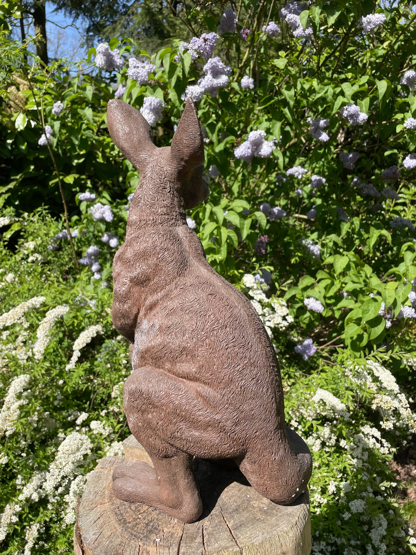 Beeld Kangoeroe groot tuin, vijver, boerderij, dierentuin 90cm