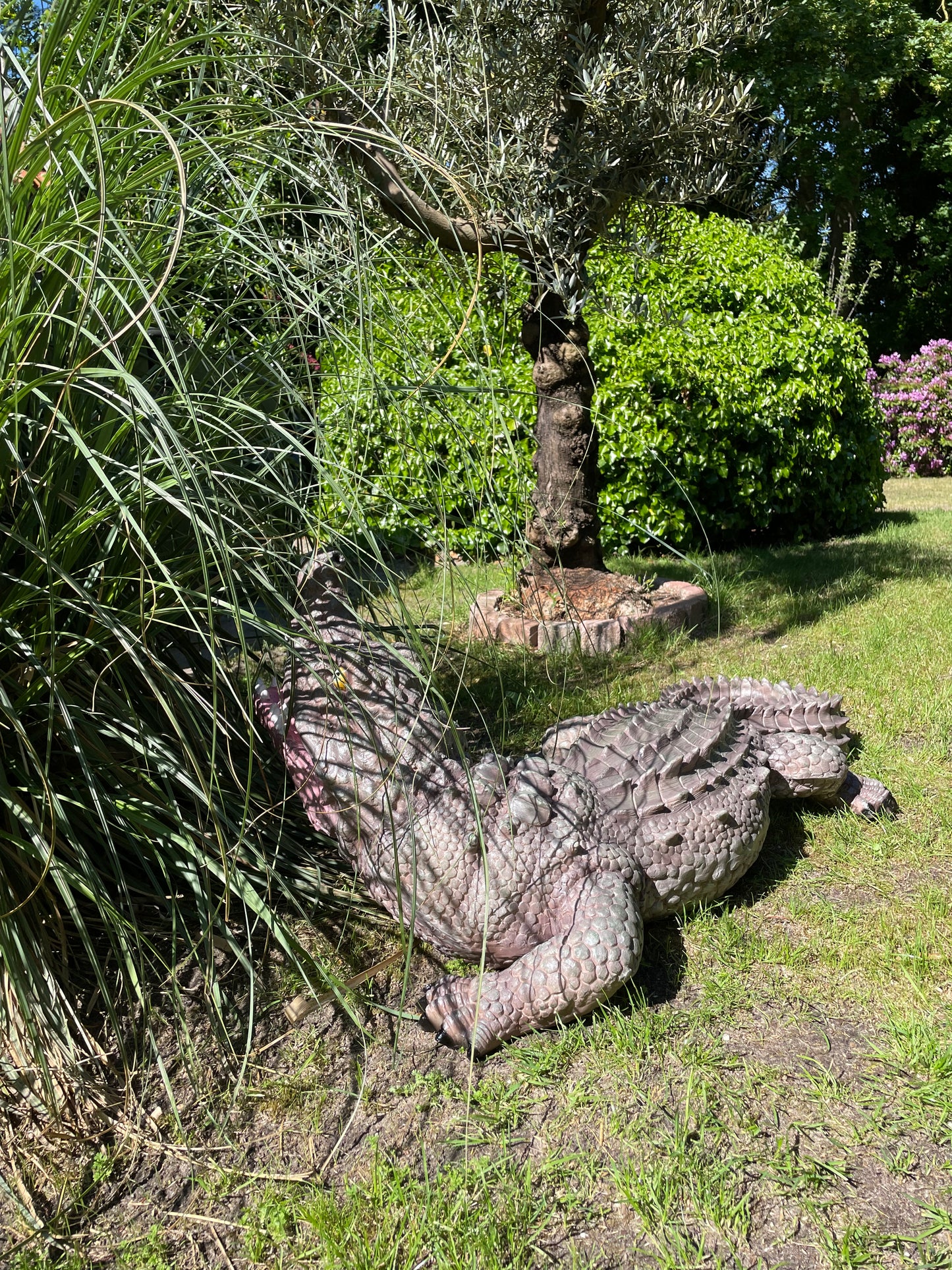 Beeld krokodil, grijs groen zwembad, vijver, boerderij 125cm