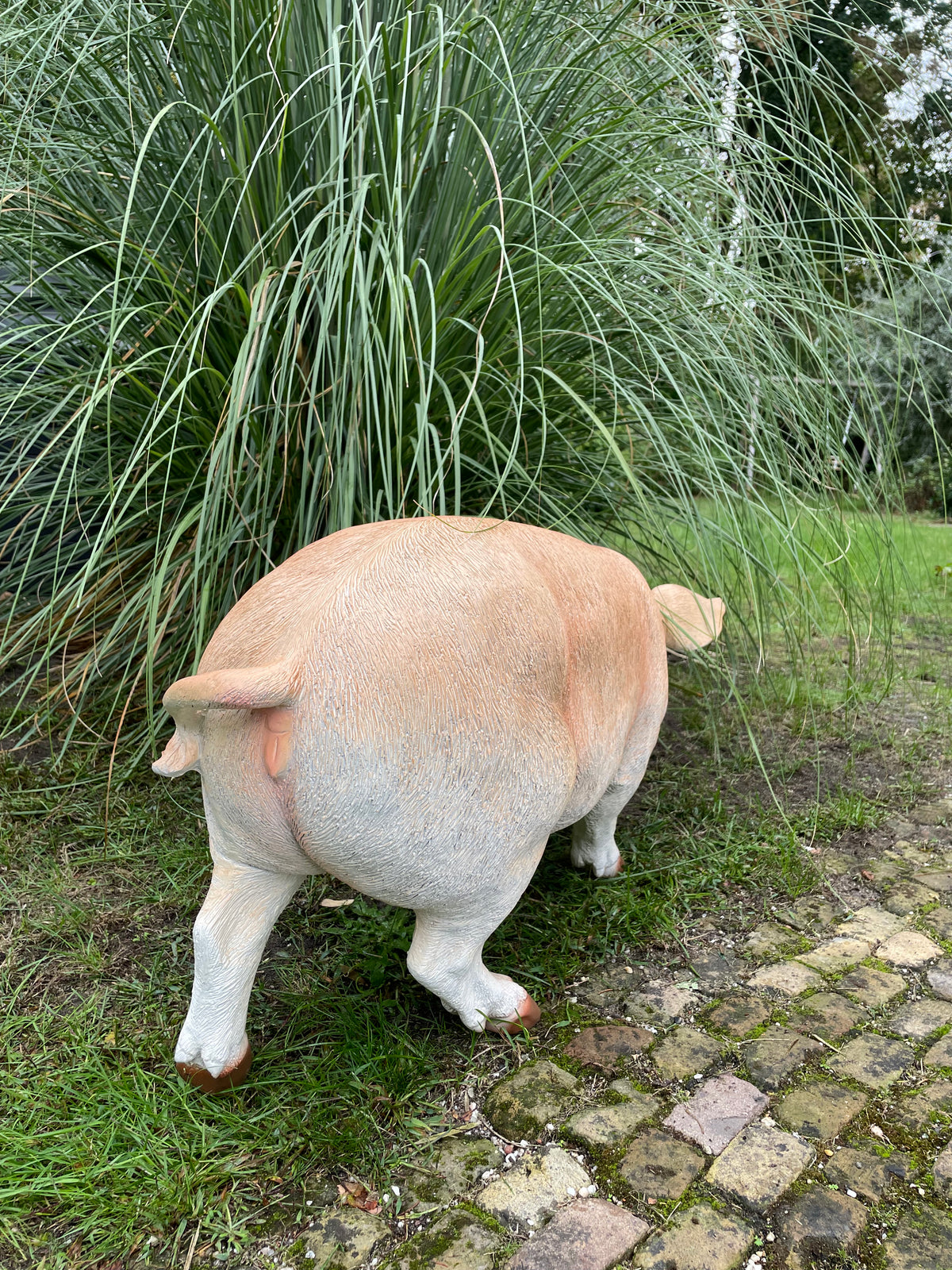 (Tuin)Beeld varken, tuin, gazon, manege, boerderij 85cm