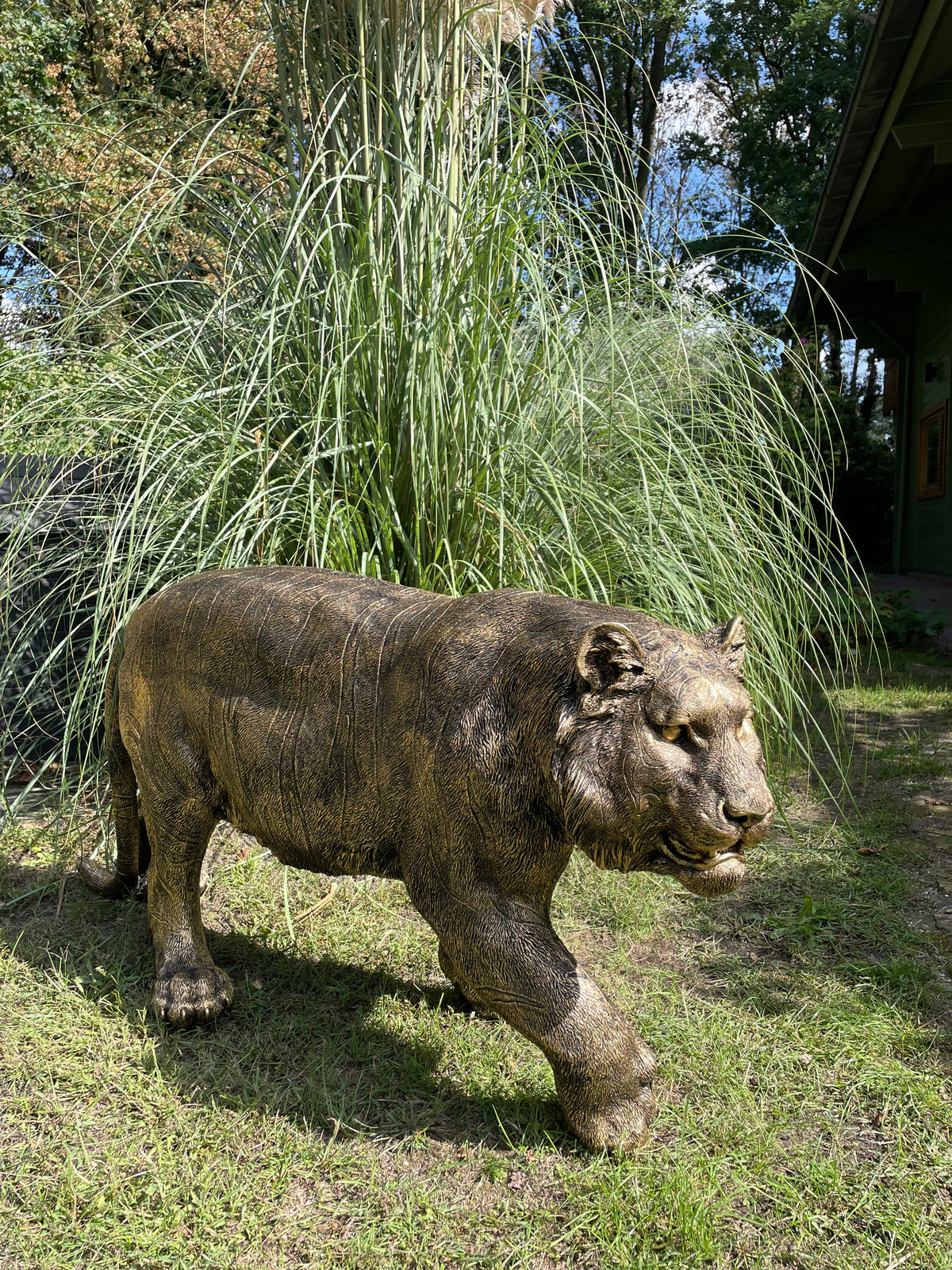 Tijger antiek goud gazon, tuin, dierentuin, 140cm