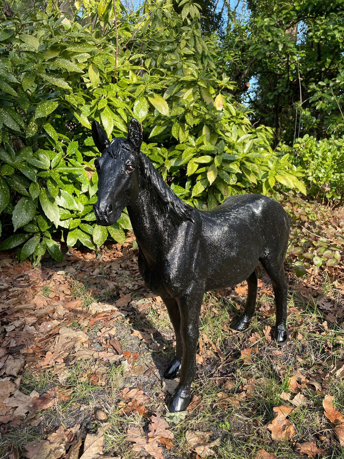 Paard, pony, veulen manege tuin paardrijden 70cm