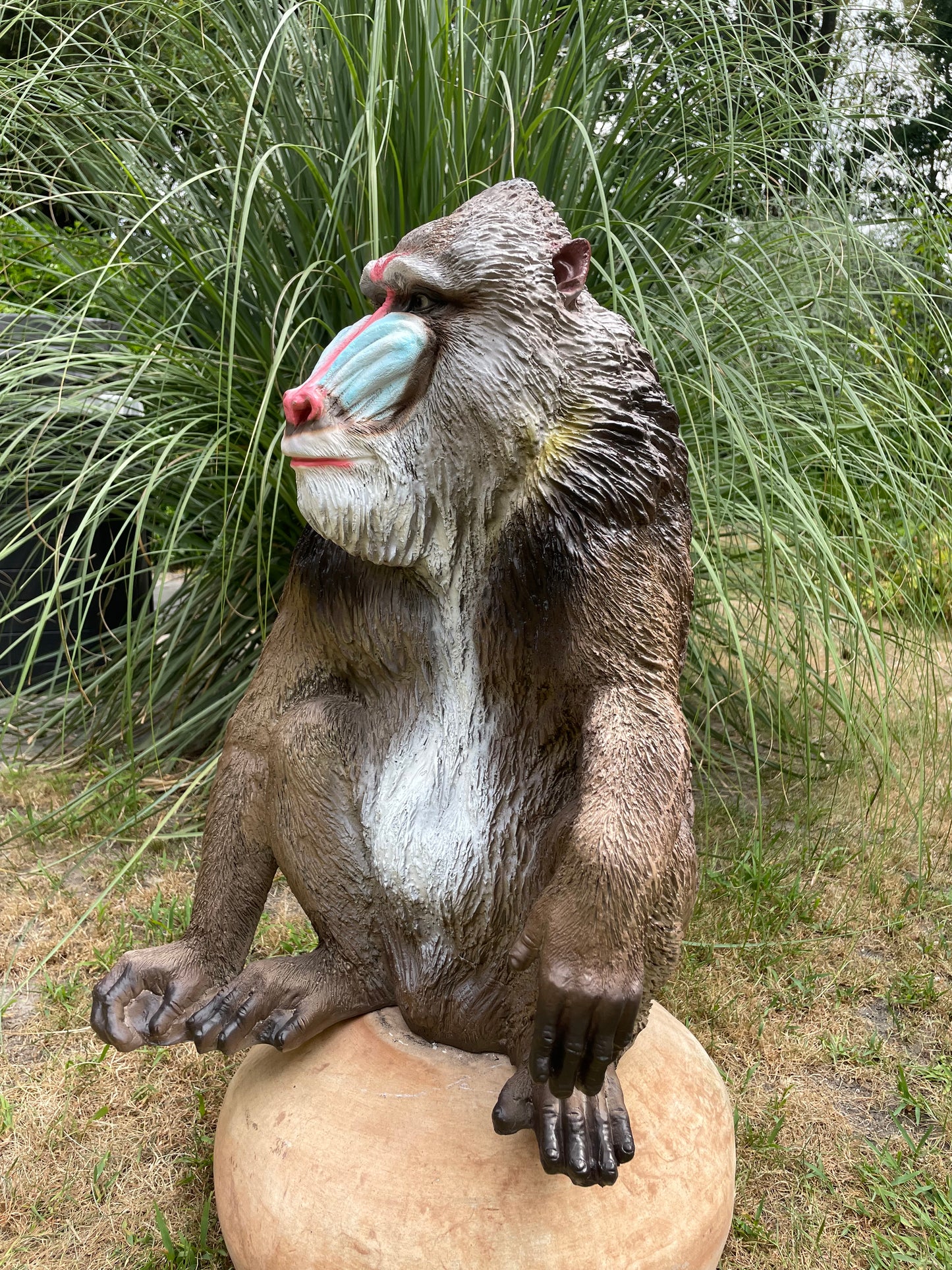 Mandril baviaan aap beeld tuin dierentuin 66cm