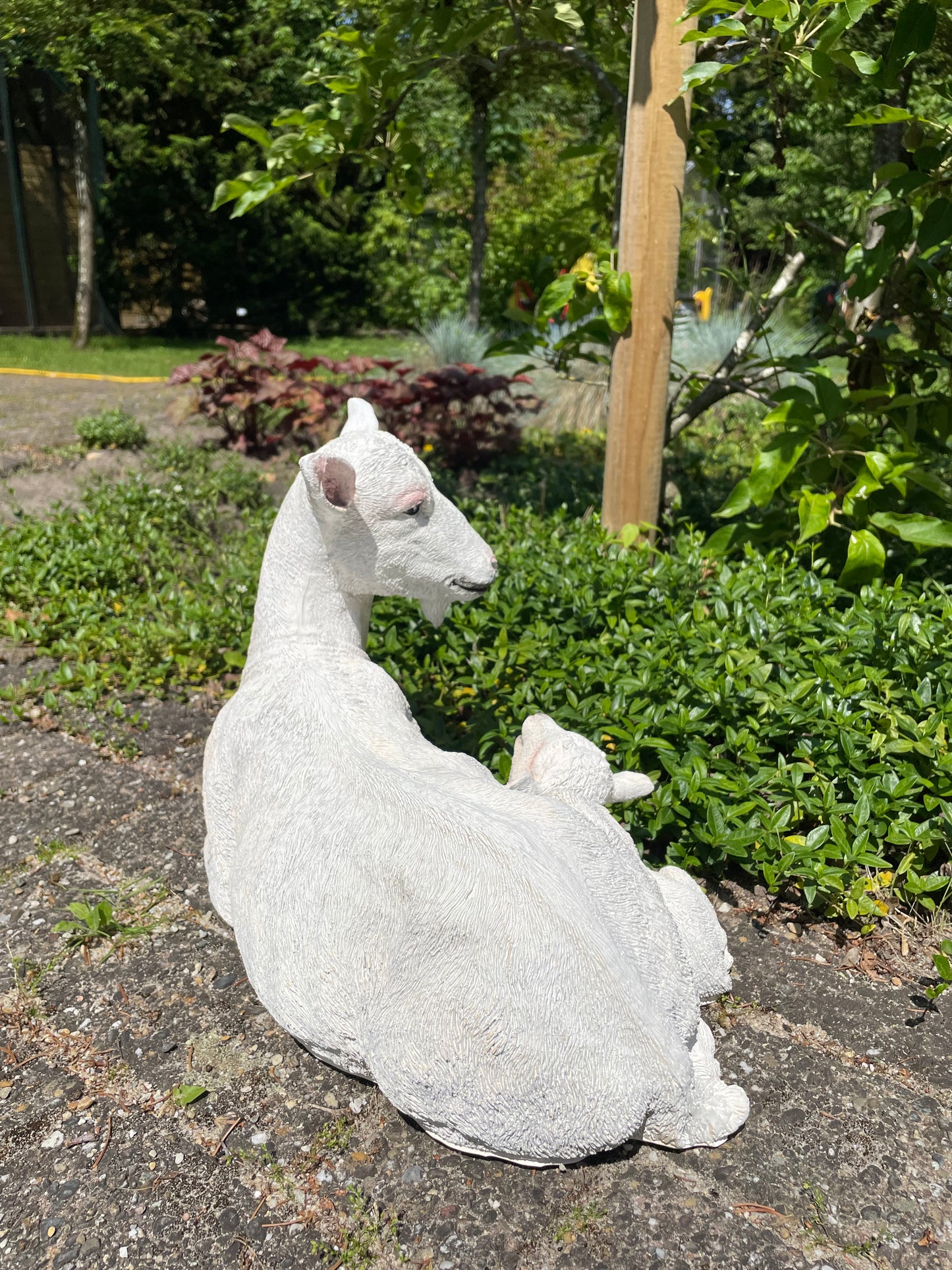 Geit wit liggend lammetje tuin, gazon, boerderij 40cm