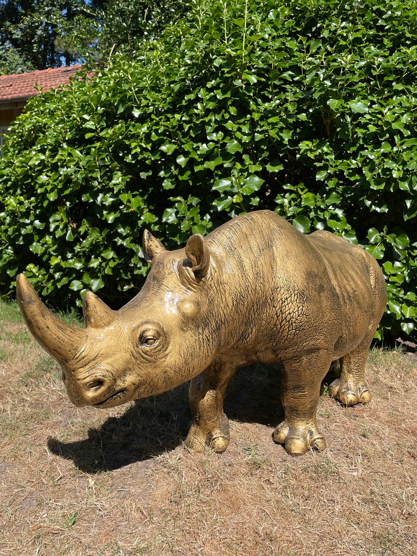 Beeld Neushoorn, vijver, zwembad , tuin 100 cm