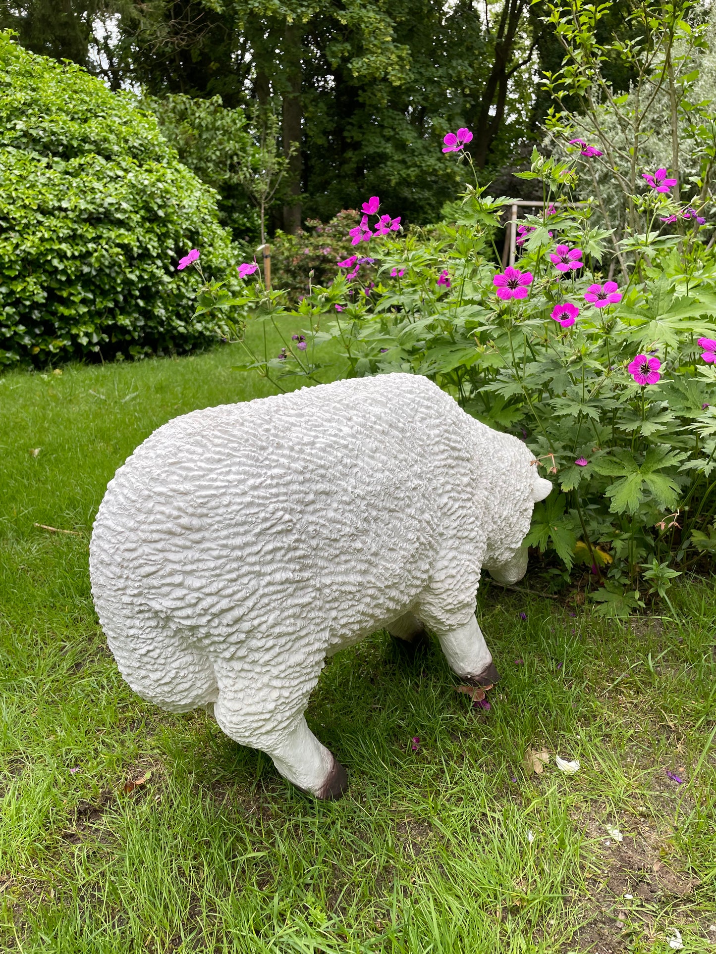 Set Merino wolschapen, gazon, tuin, boerderij 70-65cm