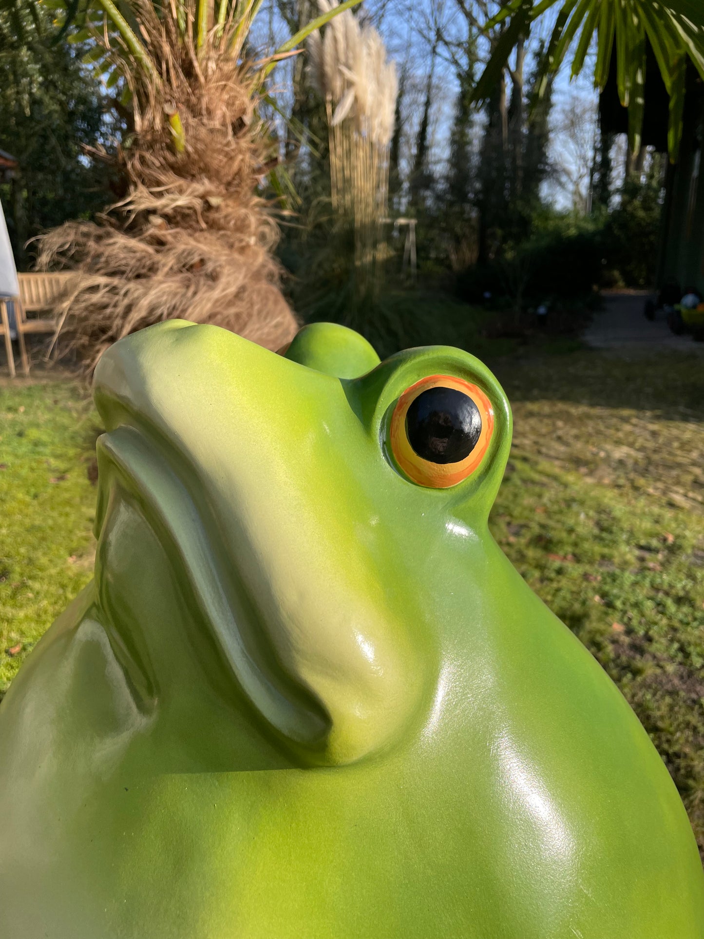 Beeld kikker, tuin, vijver, gazon, boerderij 55cm