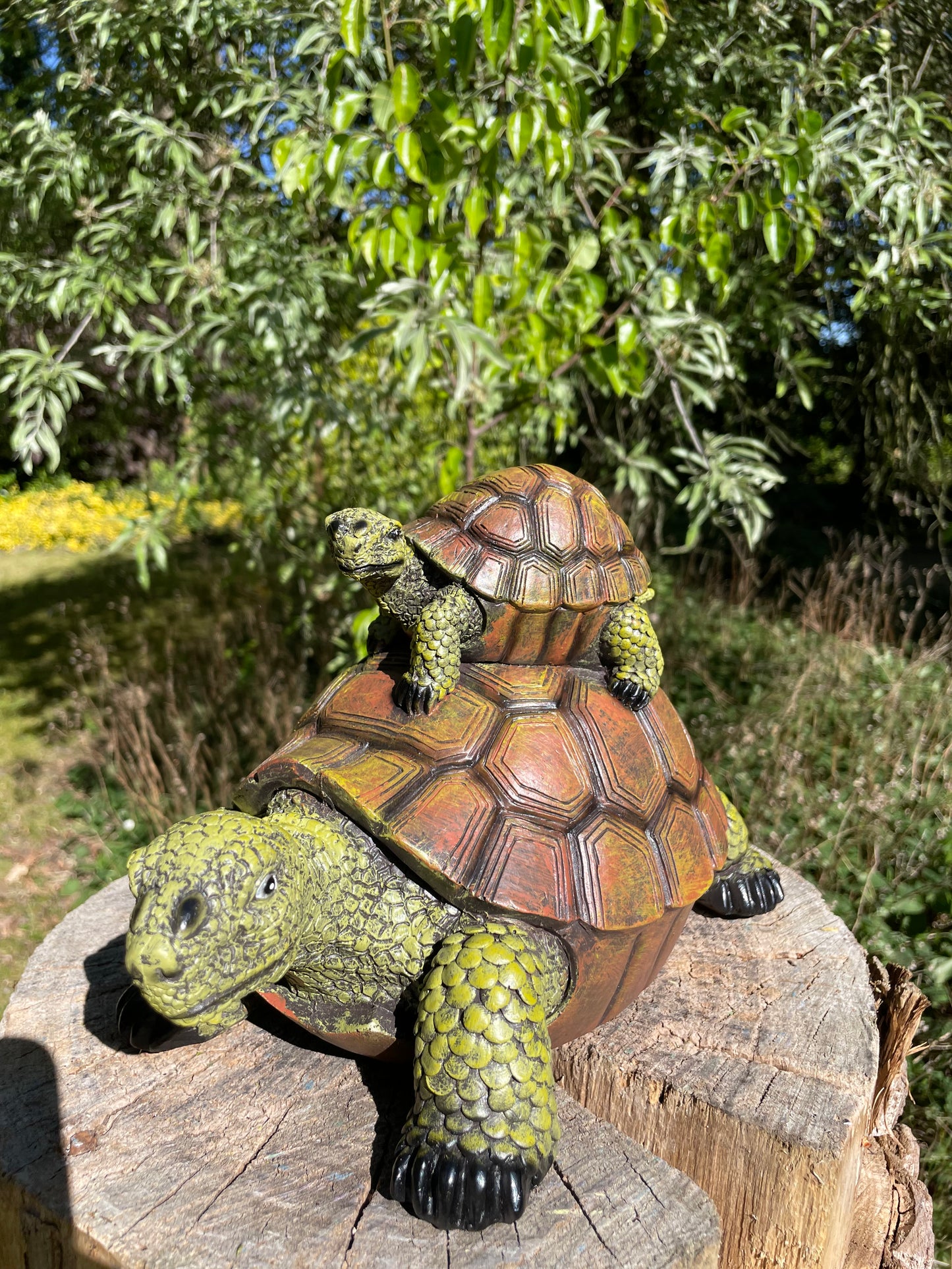Baby schildpad, gazon, tuin, vijver, 30 cm