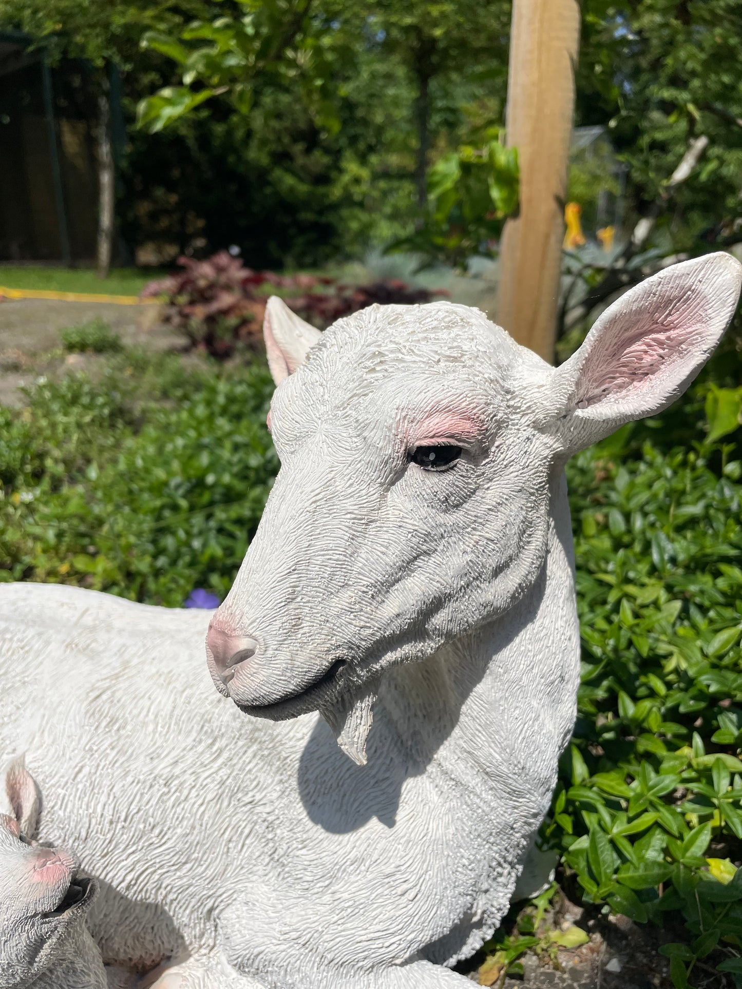 Geit wit liggend lammetje tuin, gazon, boerderij 40cm