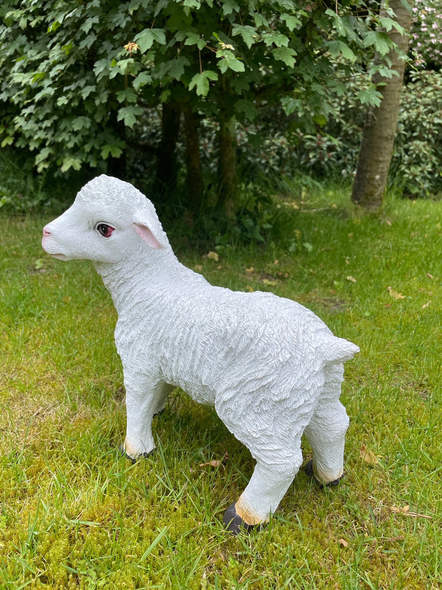 Beeld lammetje wit, tuin, gazon, boerderij  35cm