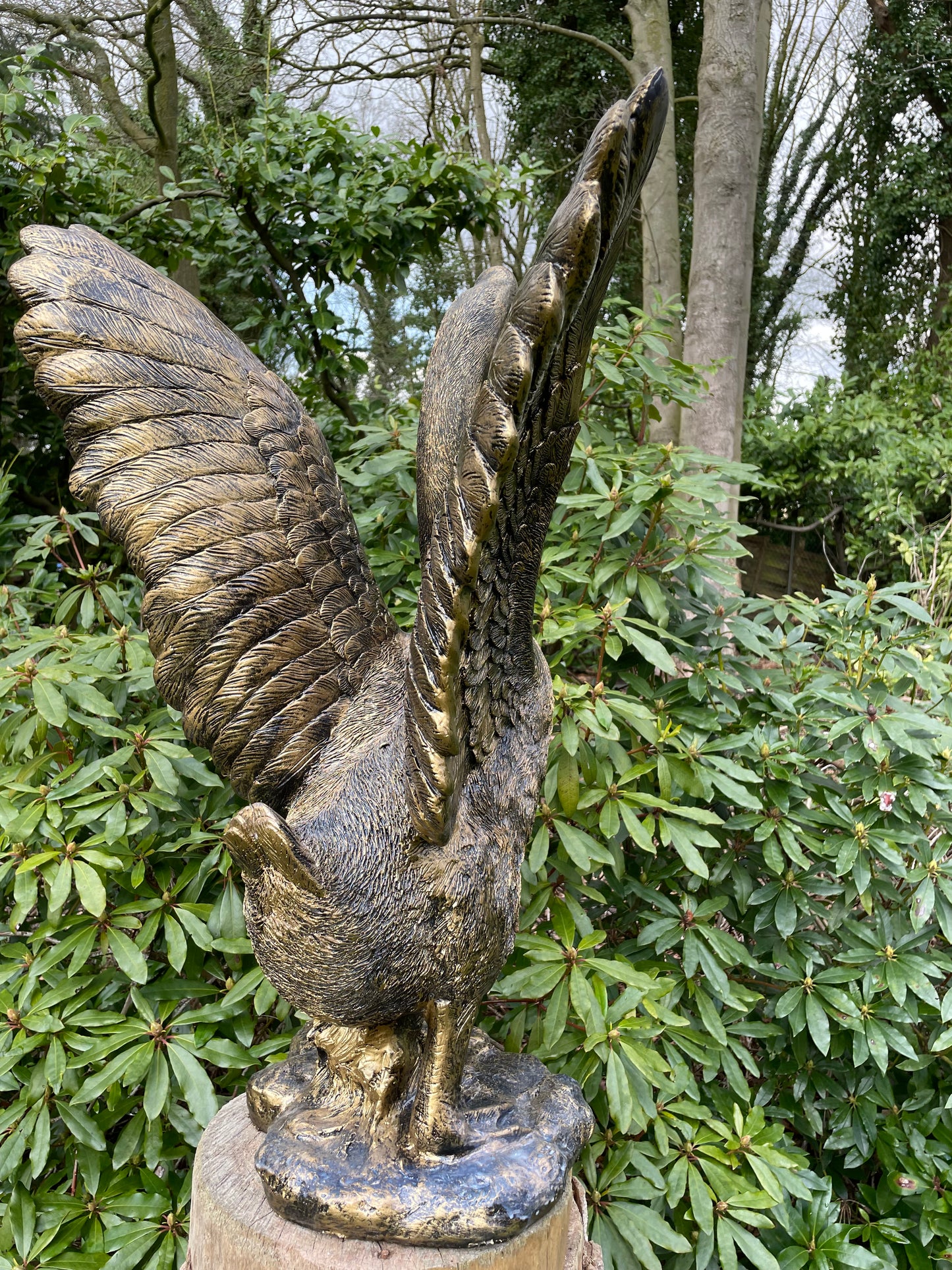 (Tuin)Beeld Gans, tuin, zwembad, vijver, gazon 80cm