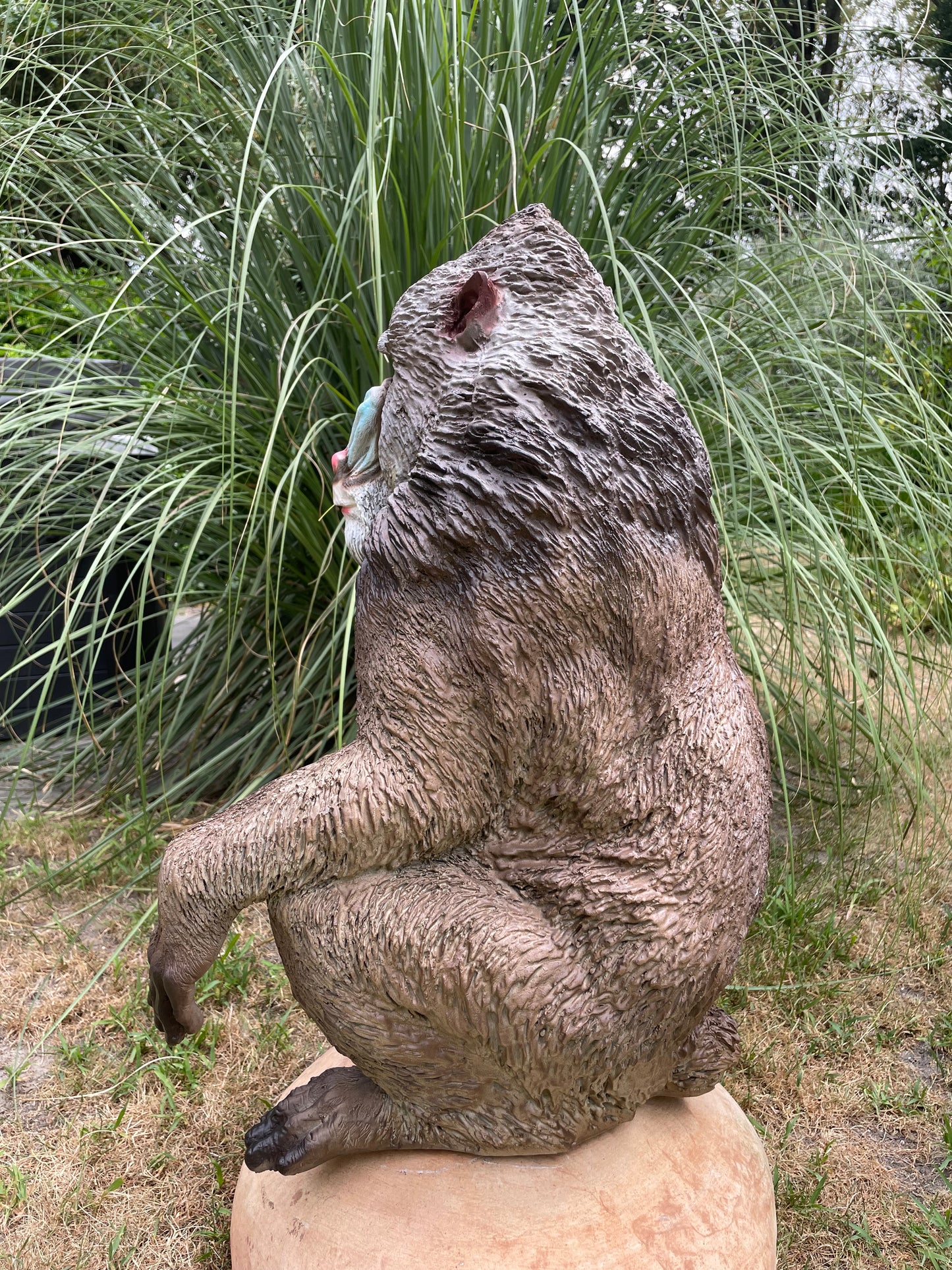 Mandril baviaan aap beeld tuin dierentuin 66cm