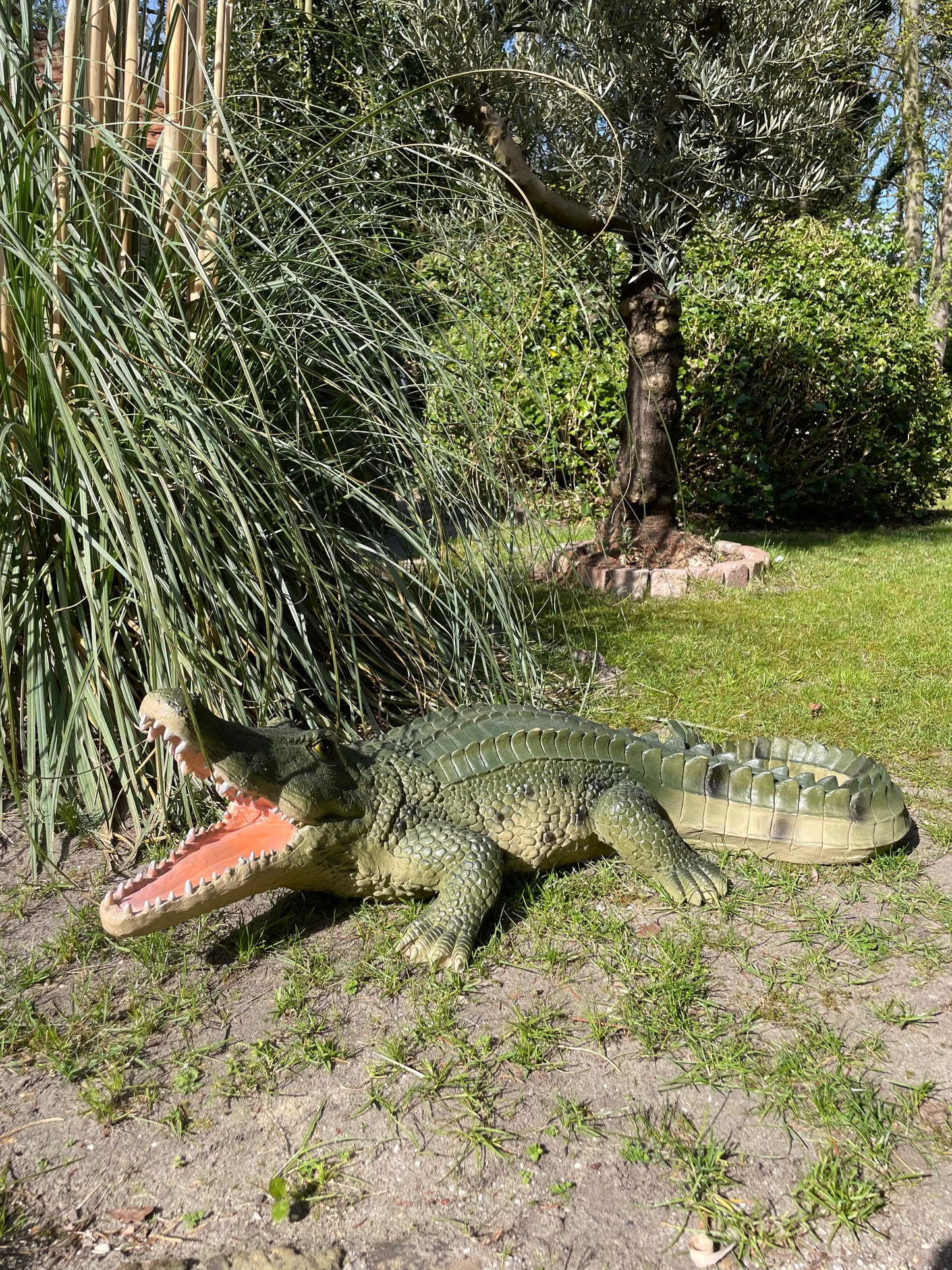 Beeld krokodil, Groen, zwembad, vijver, boerderij 100cm