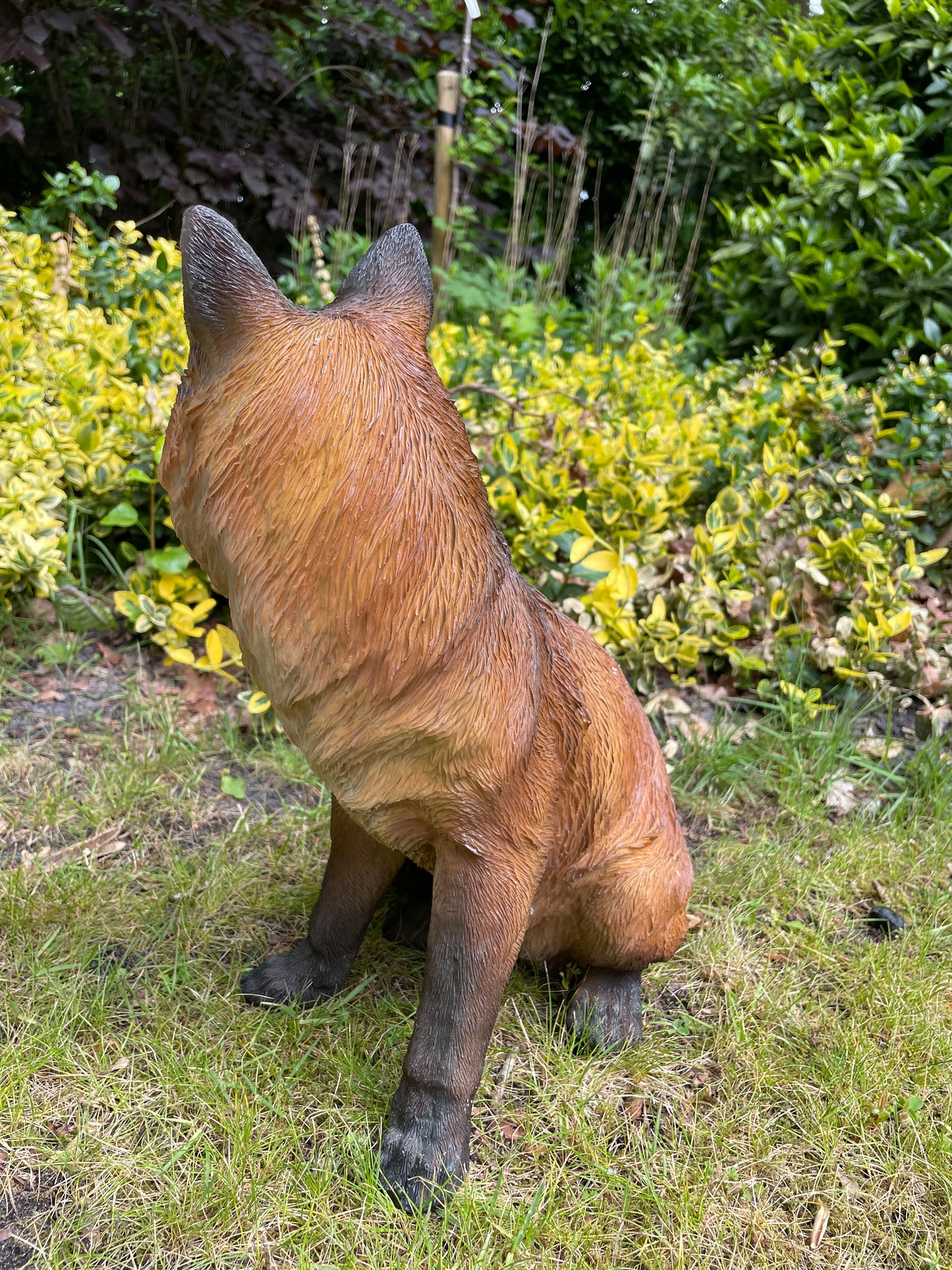 Tuinbeeld vos zittend gazon, tuin, dierentuin, 35 cm
