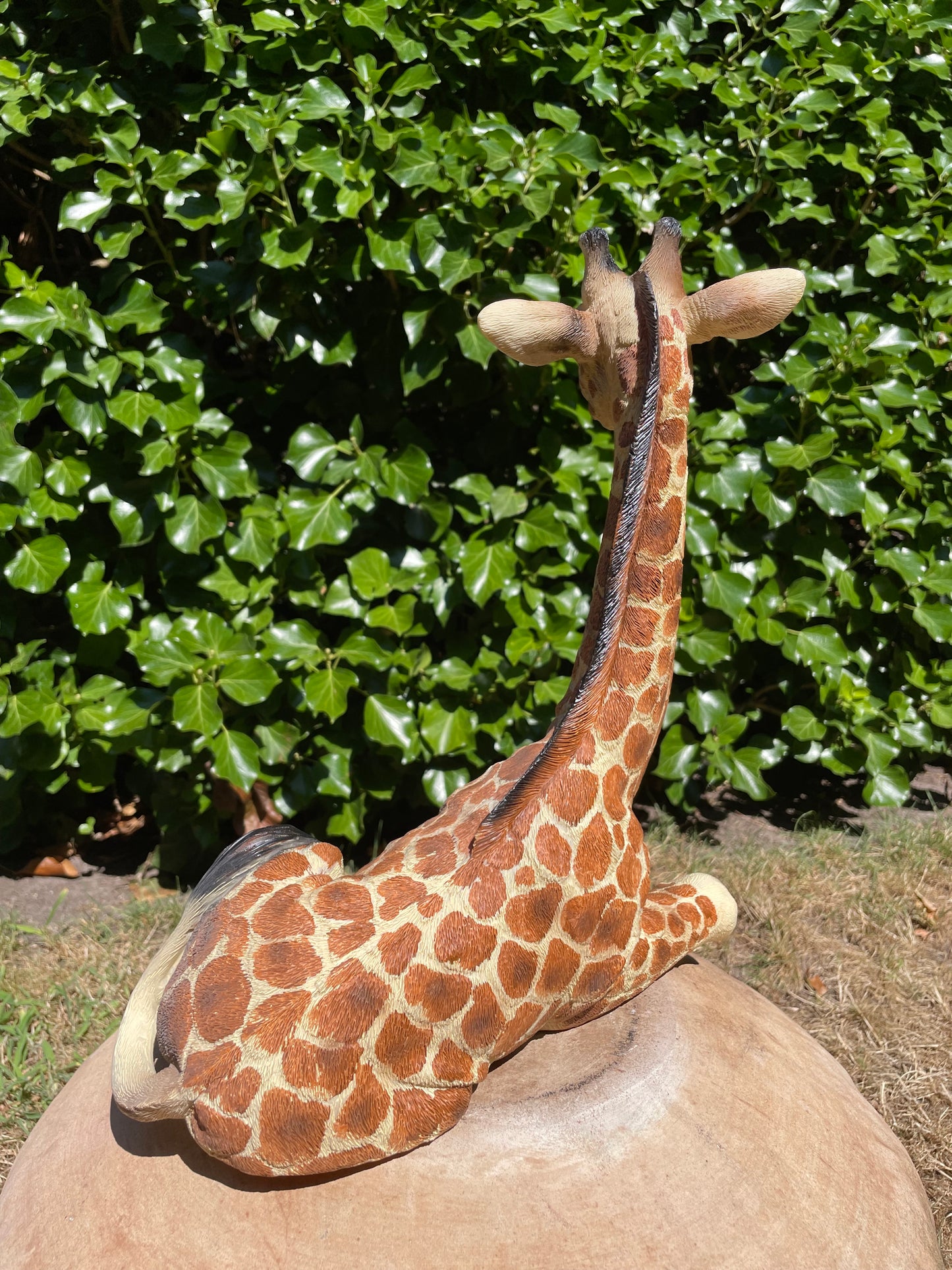 Giraf, liggend, tuin, woonkamer, dierentuin 32cm