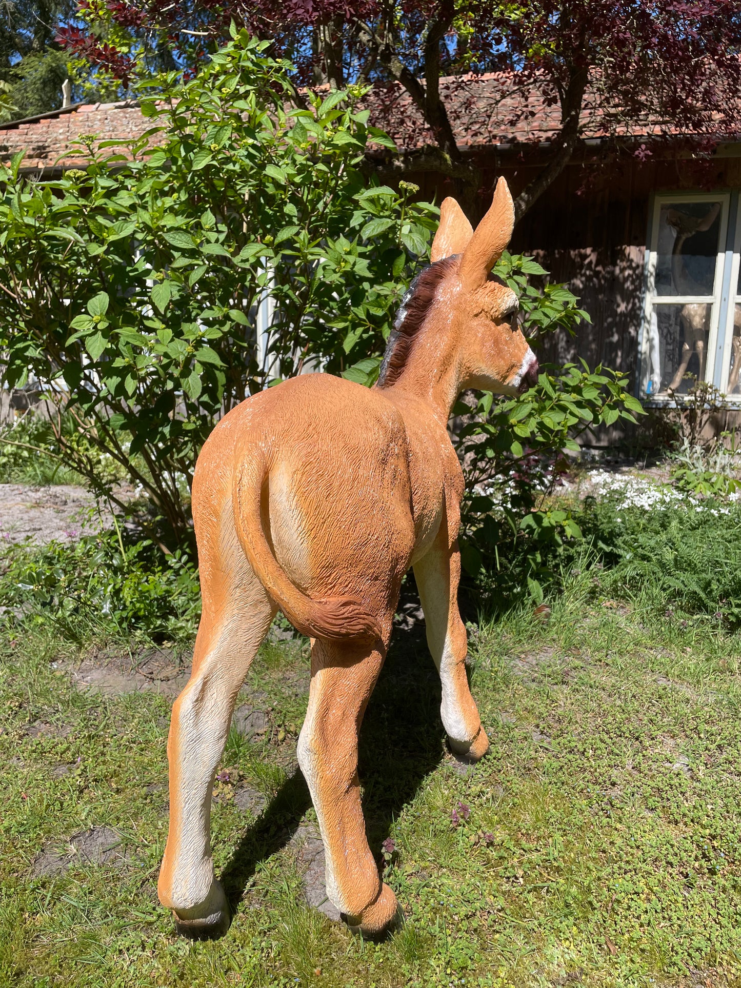 Ezel bruin, tuin, boerderij, vijver, dierentuin 100cm