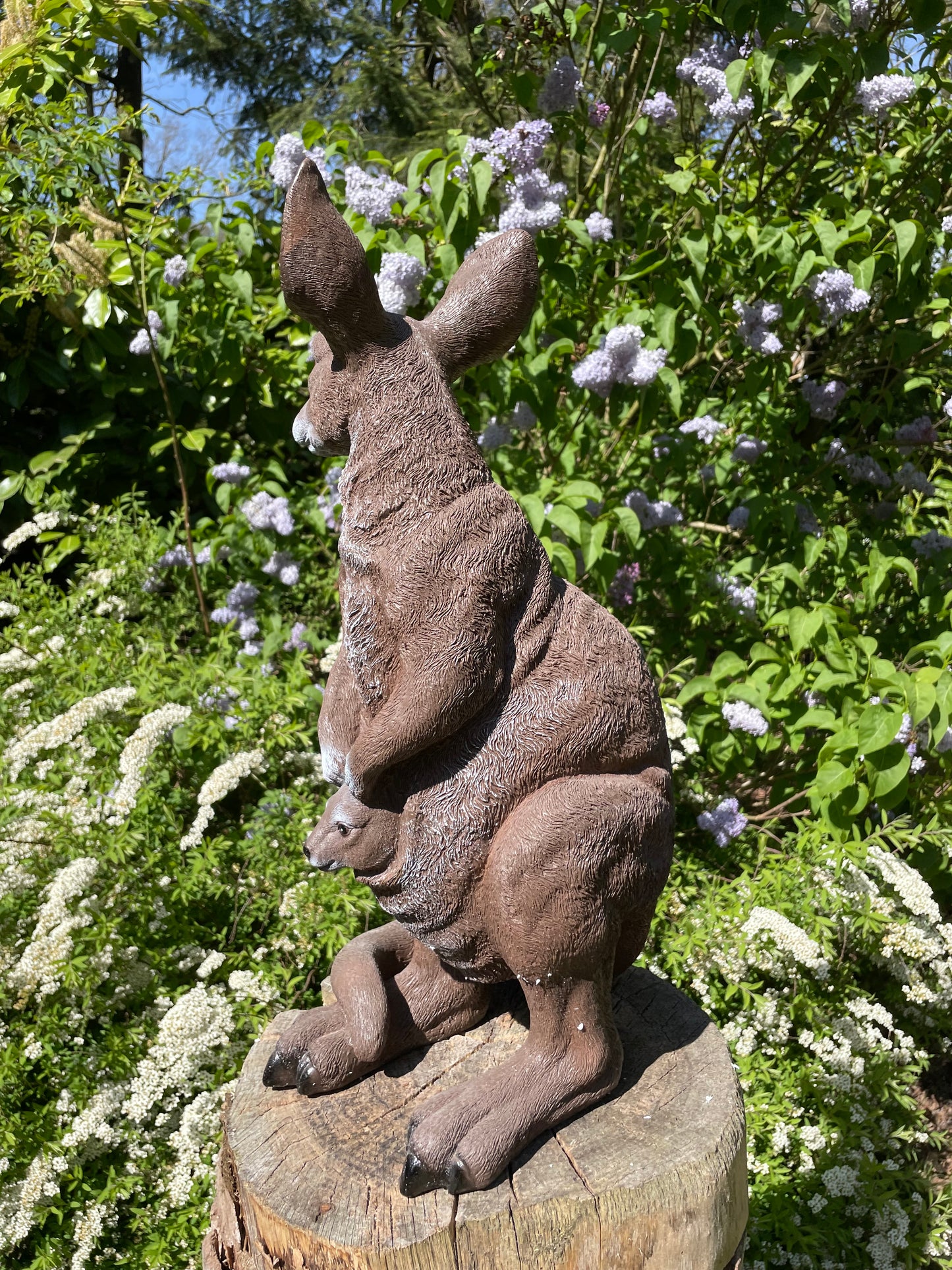 Beeld Kangoeroe groot tuin, vijver, boerderij, dierentuin 90cm