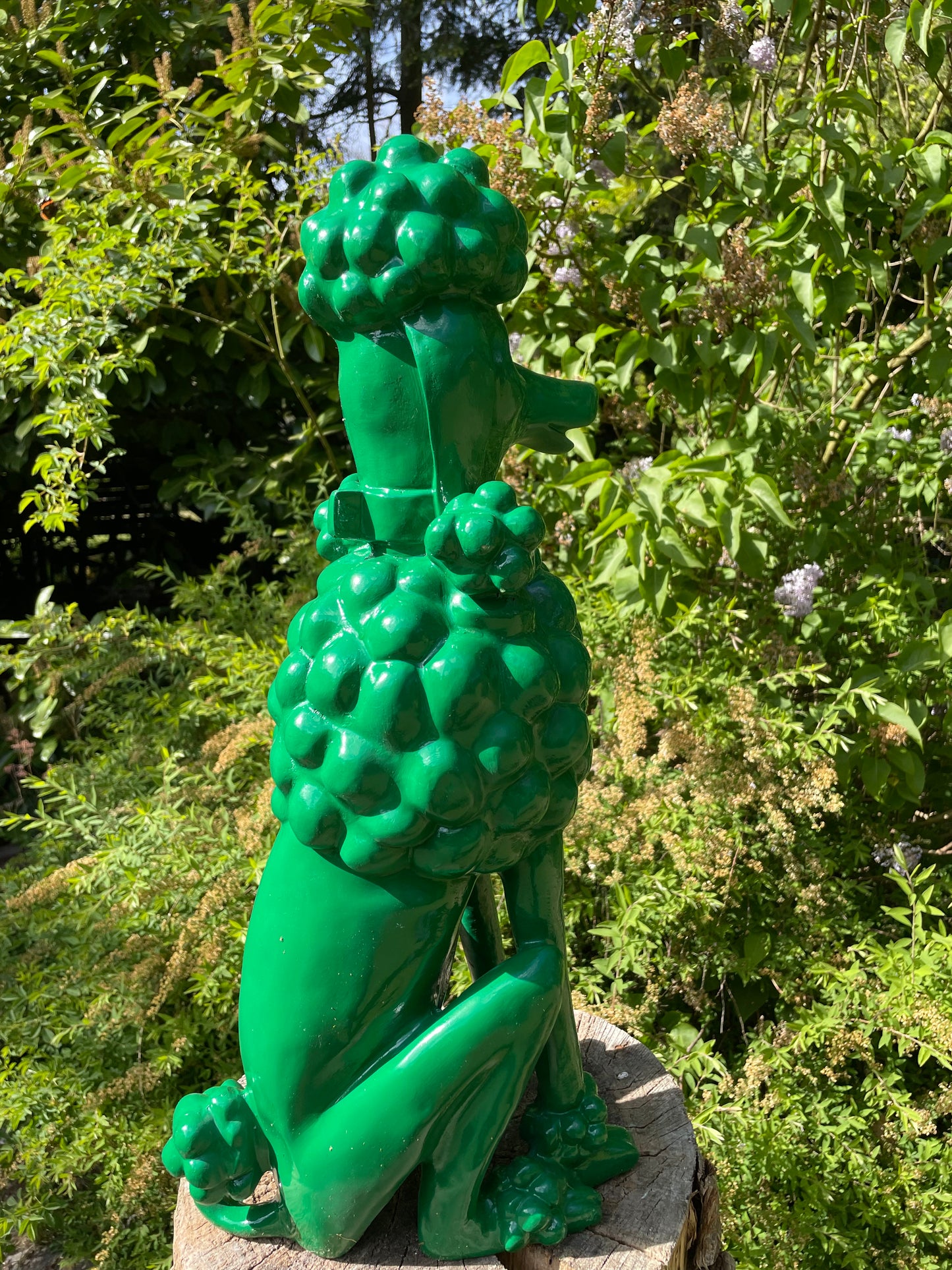 hond poedel abstract Groen, tuin, gazon  60cm