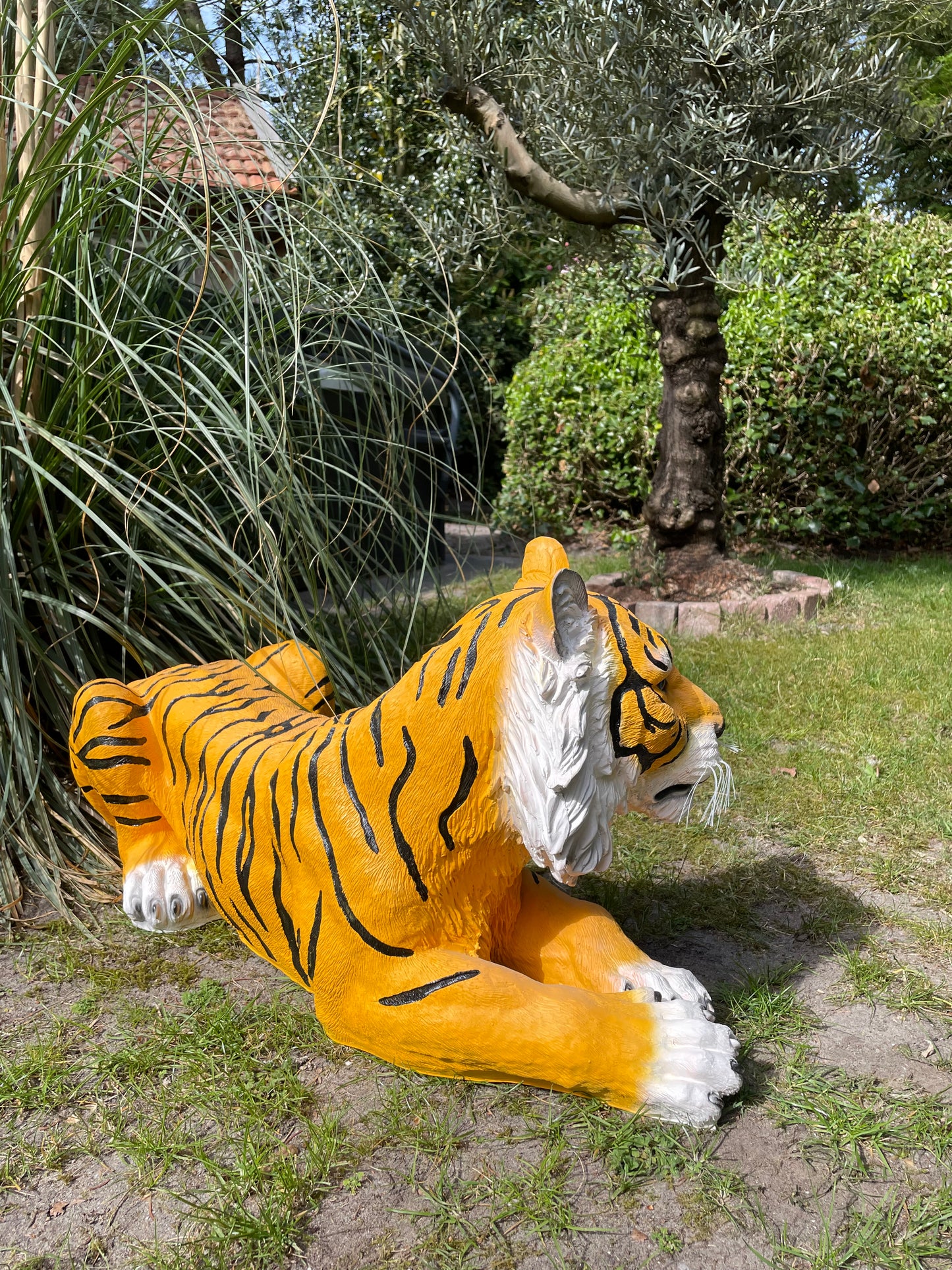 Beeld tijger tuin, gazon, dierentuin, boerderij 85cm