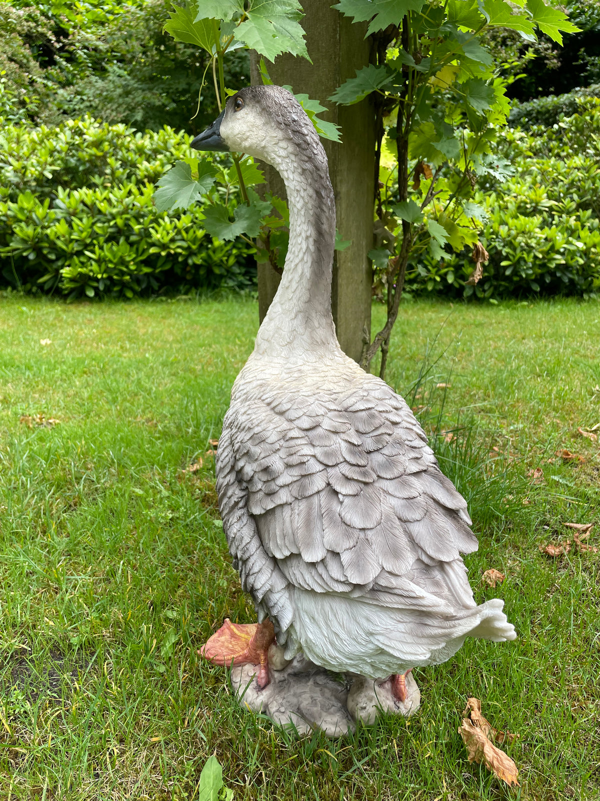 Beeld Gans bruin-grijs-wit, tuin, zwembad, vijver, boerderij 60cm