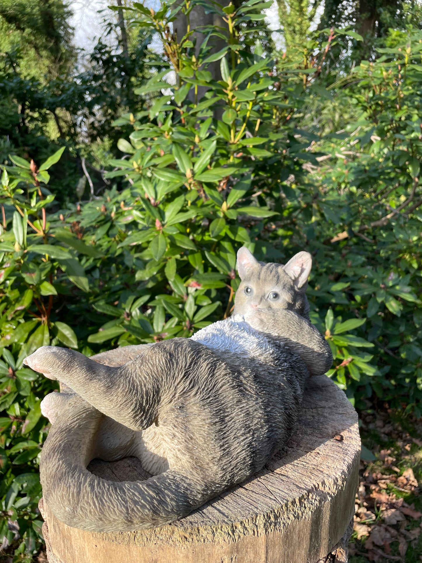 Poes, kat, liggend grijs 40cm